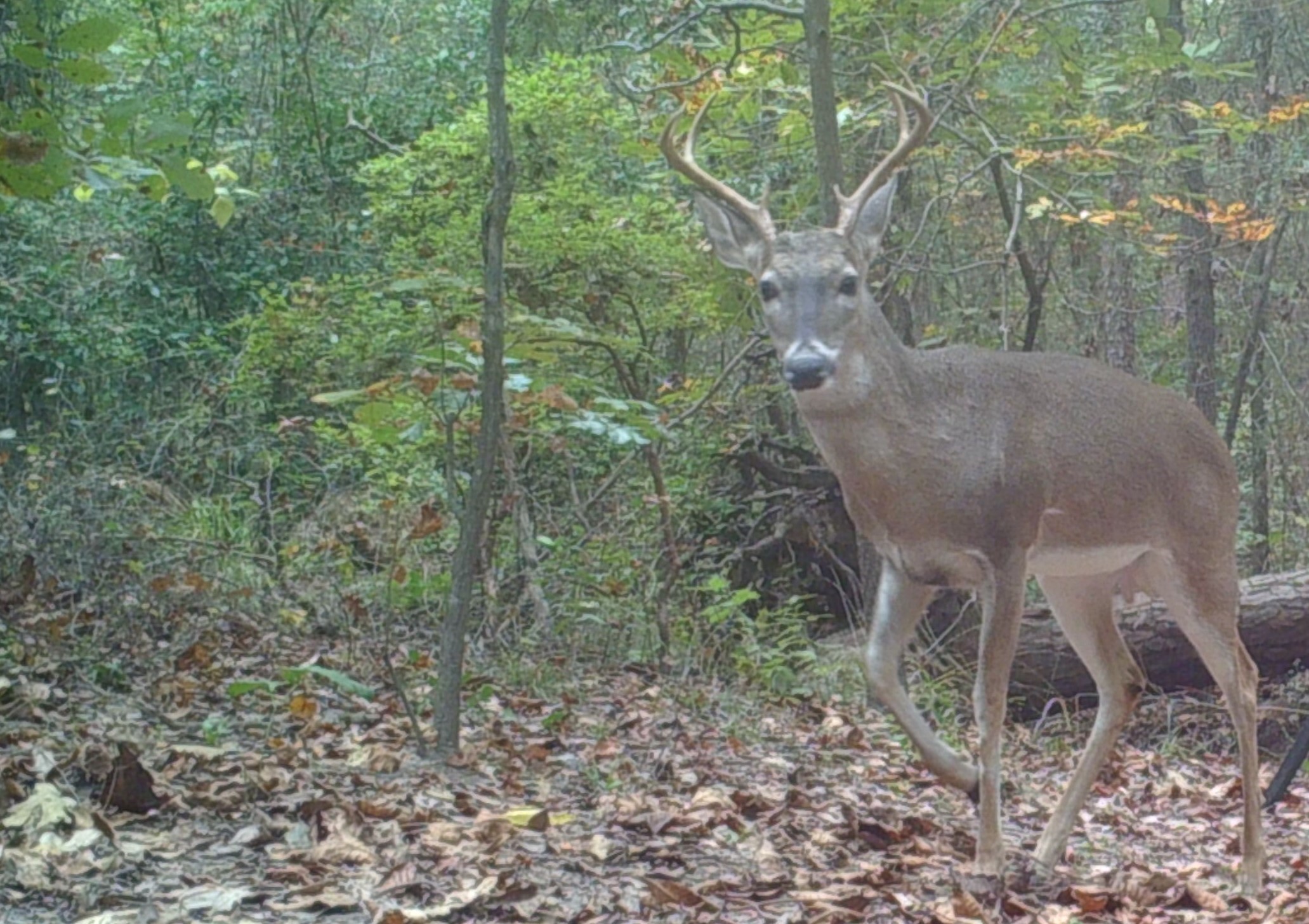 1114 County Road 3430