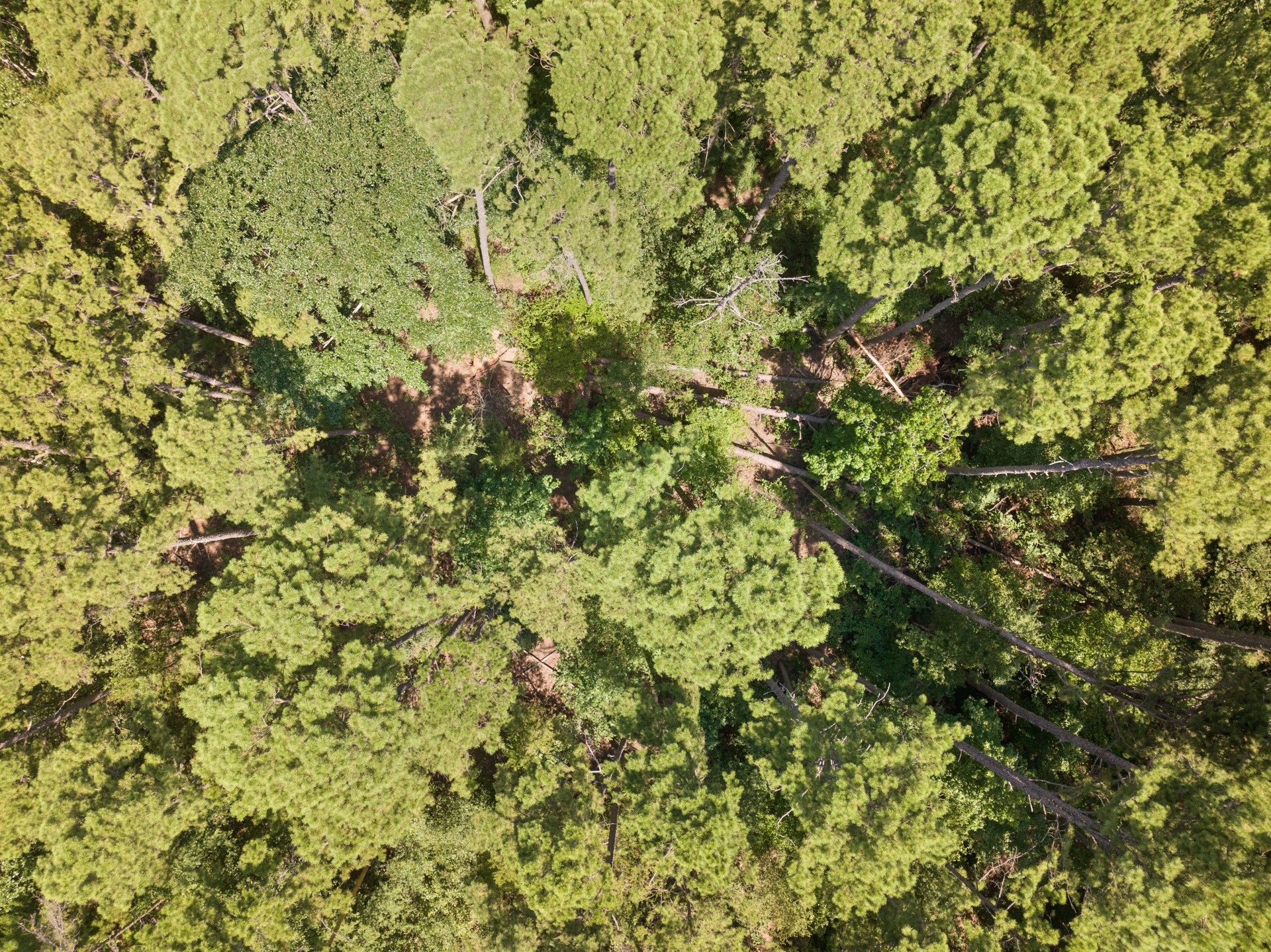 1114 County Road 3430