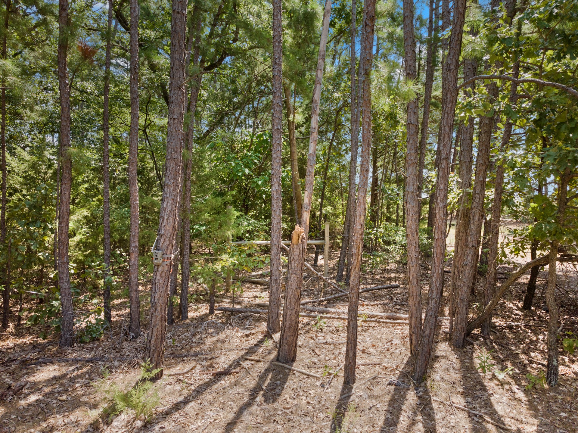 1114 County Road 3430