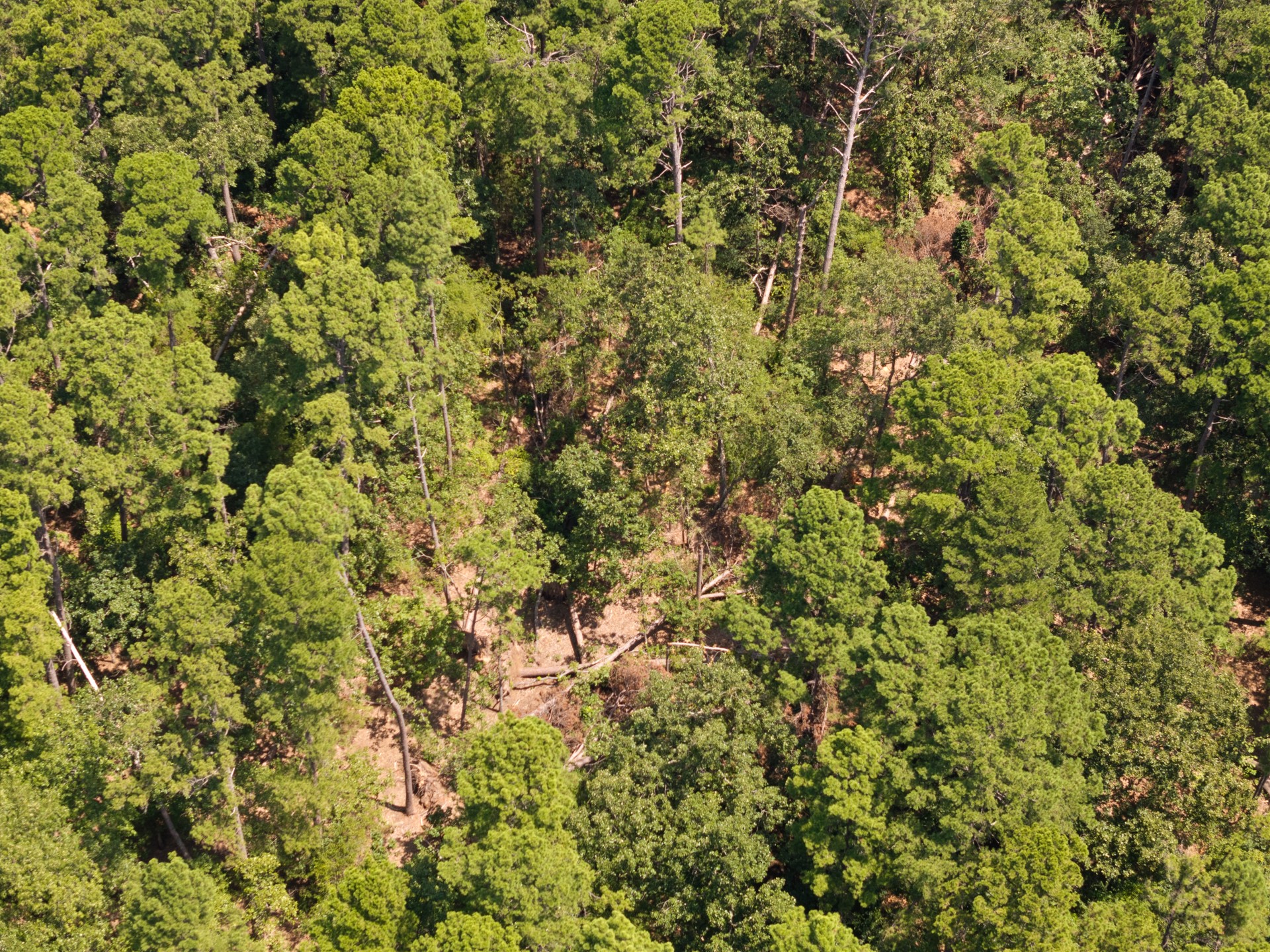 1114 County Road 3430