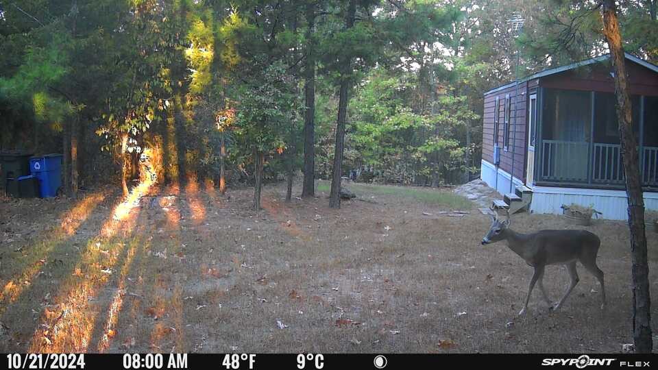 1114 County Road 3430