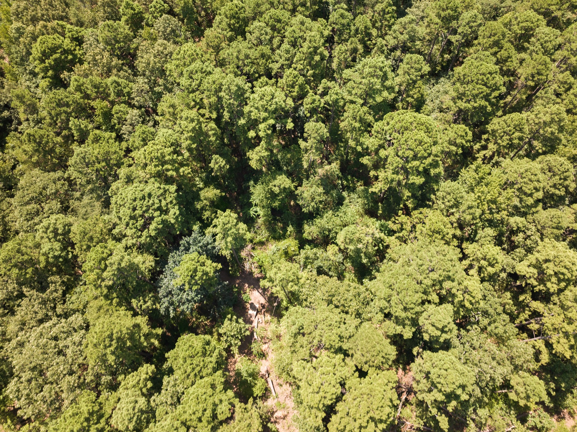 1114 County Road 3430