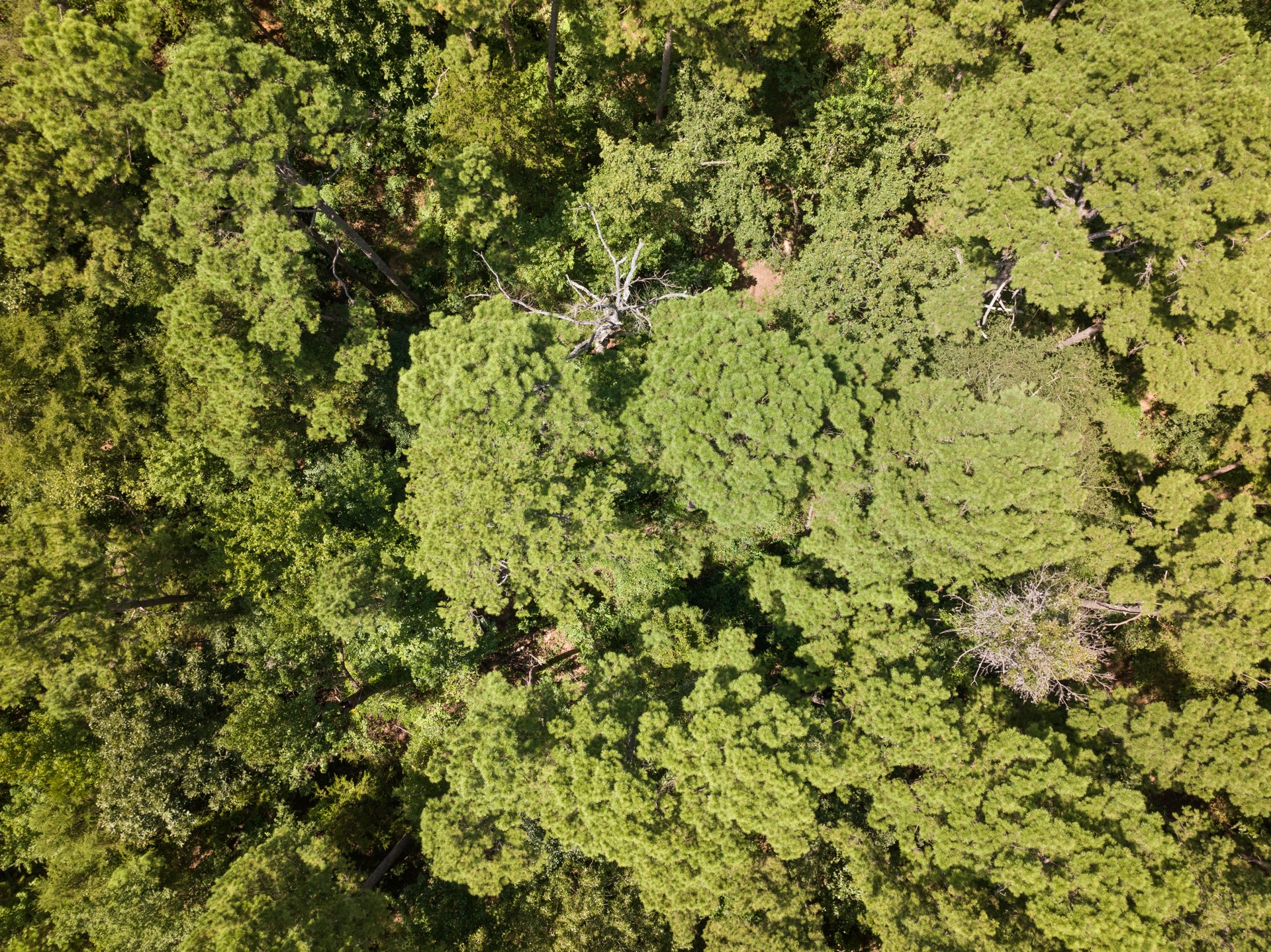 1114 County Road 3430