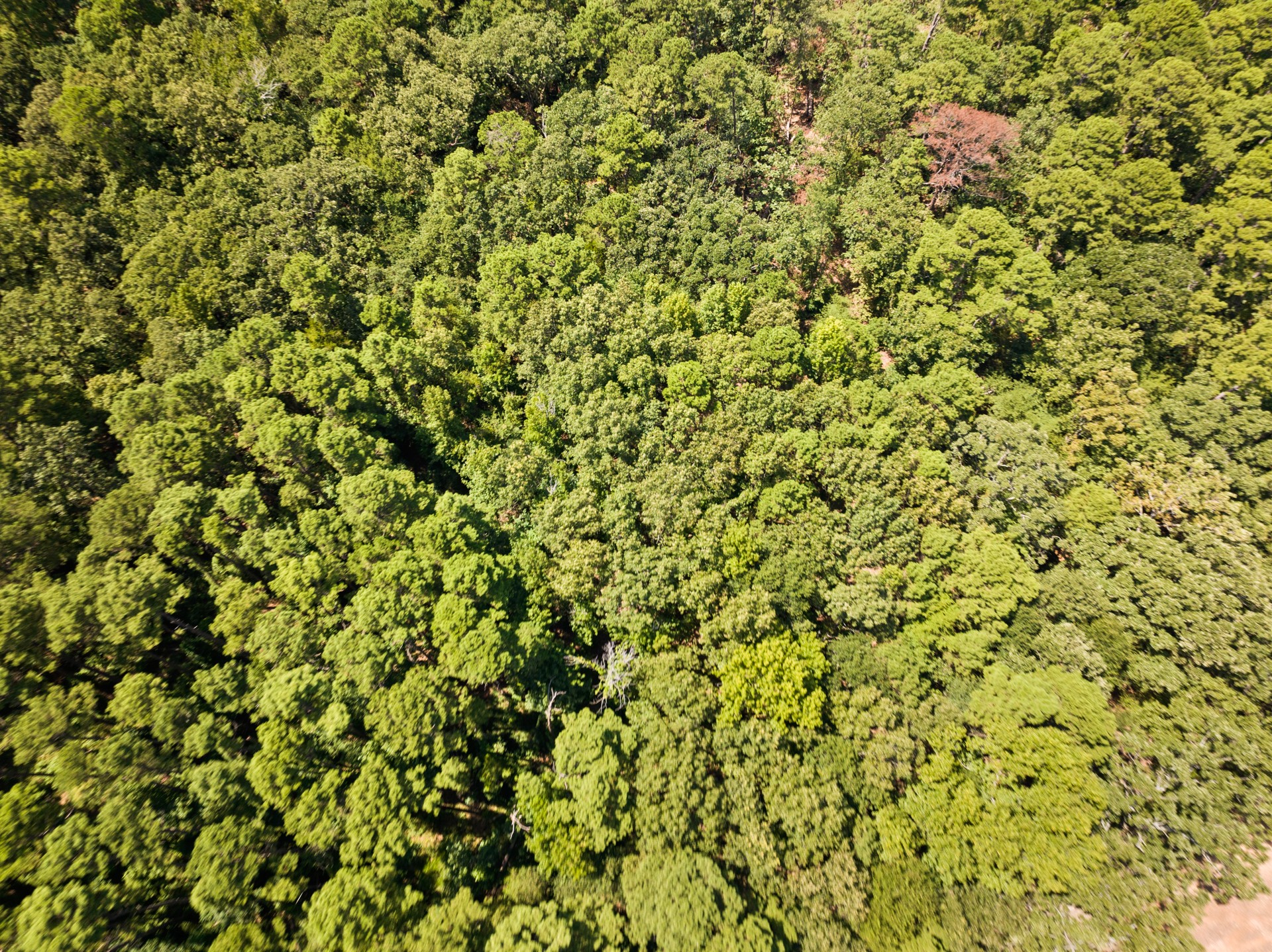 1114 County Road 3430