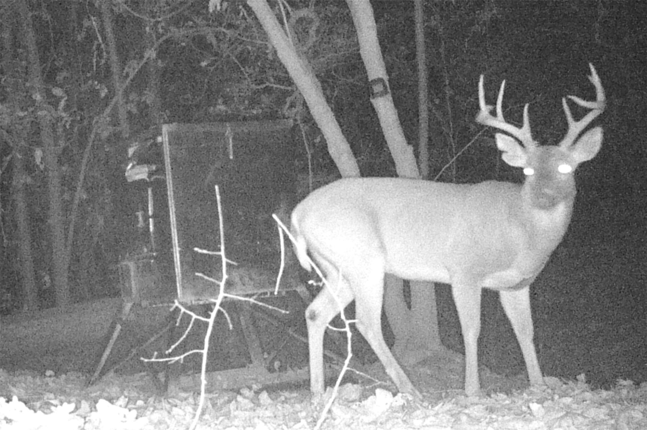 1114 County Road 3430