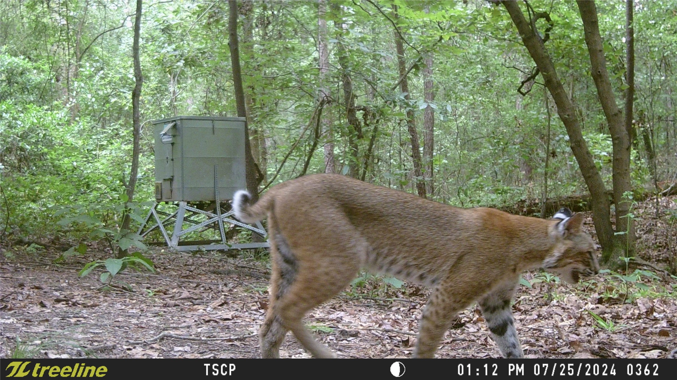 1114 County Road 3430