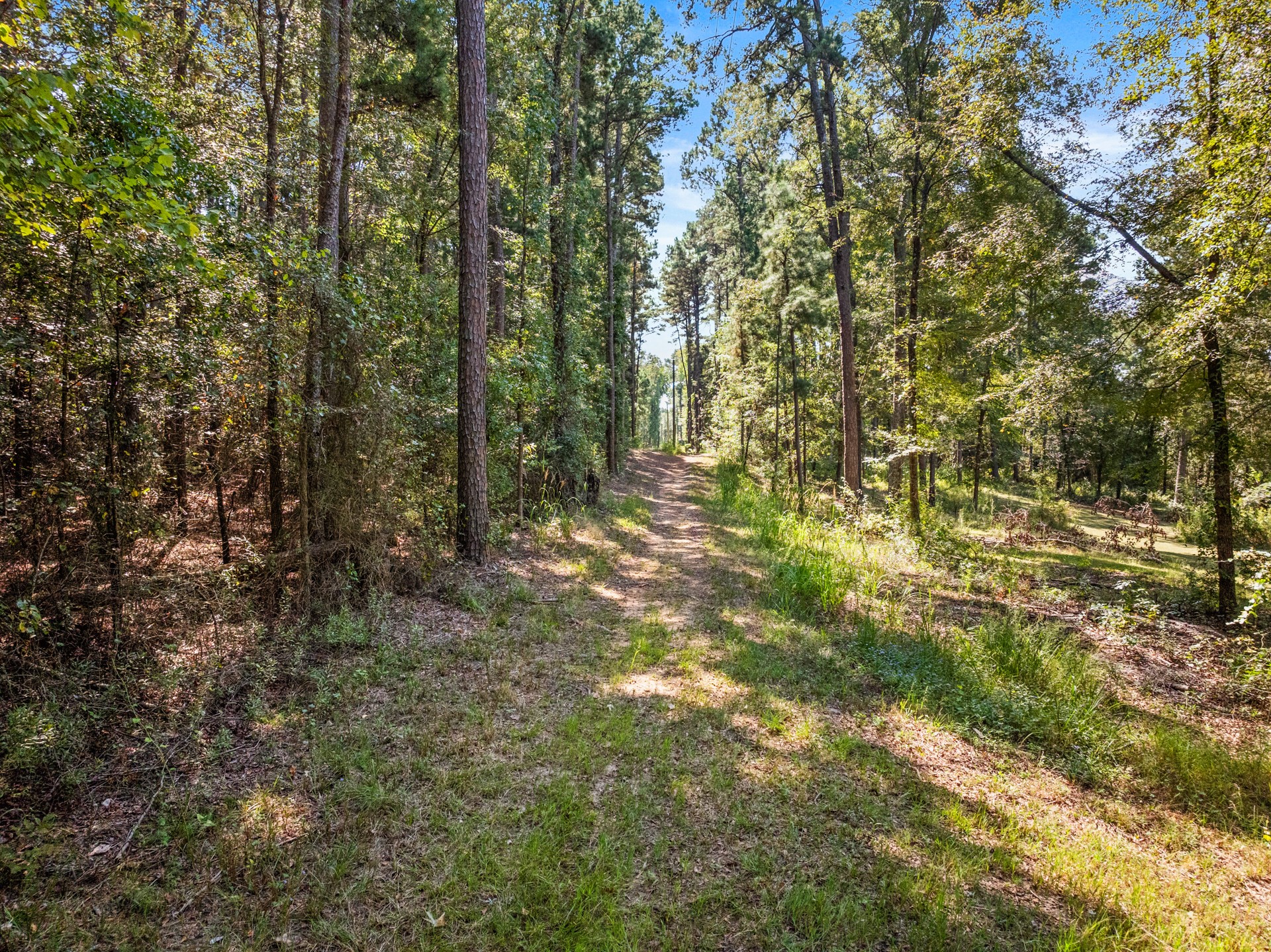 2376 COUNTY ROAD 4119