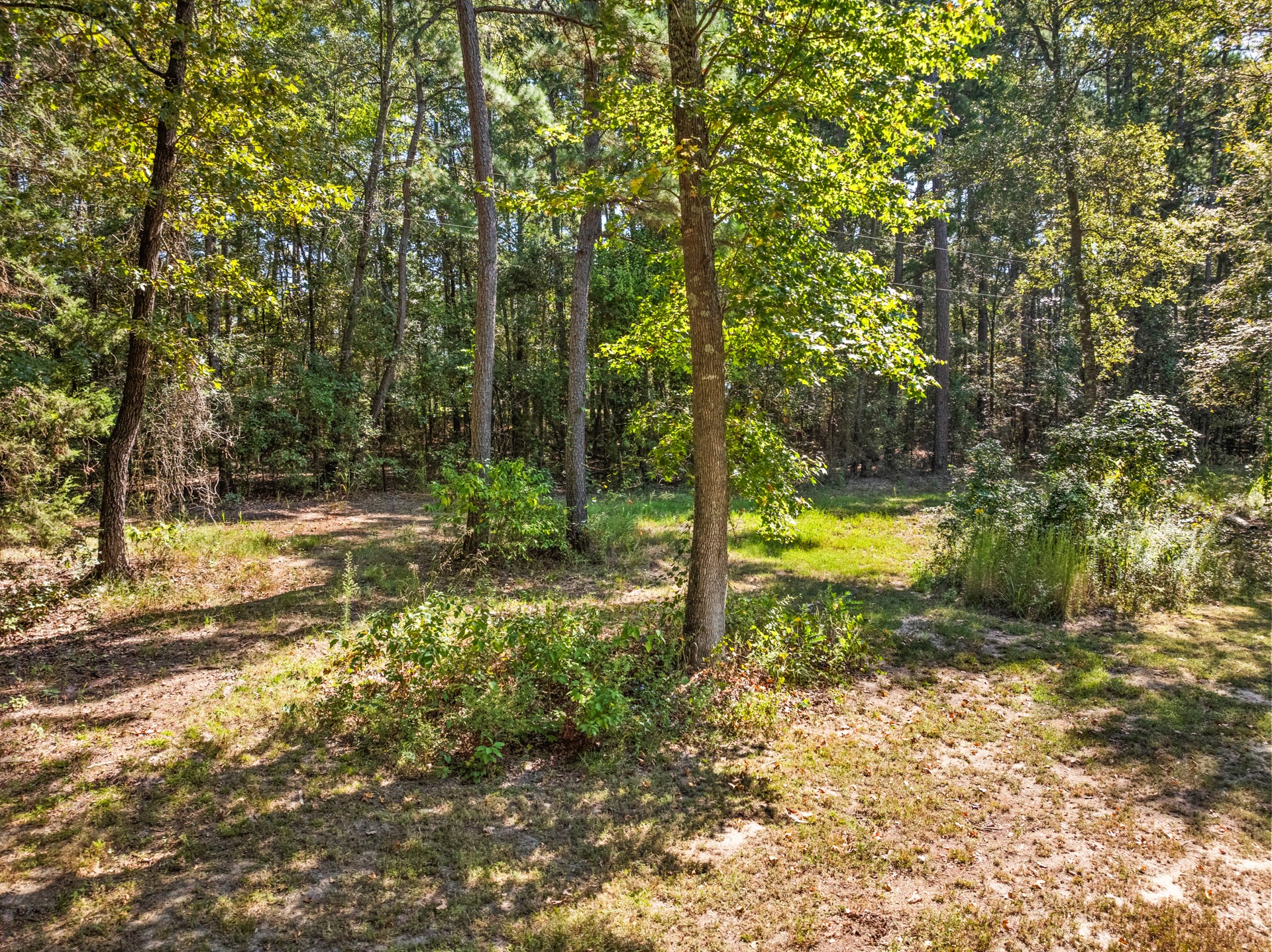 2376 COUNTY ROAD 4119