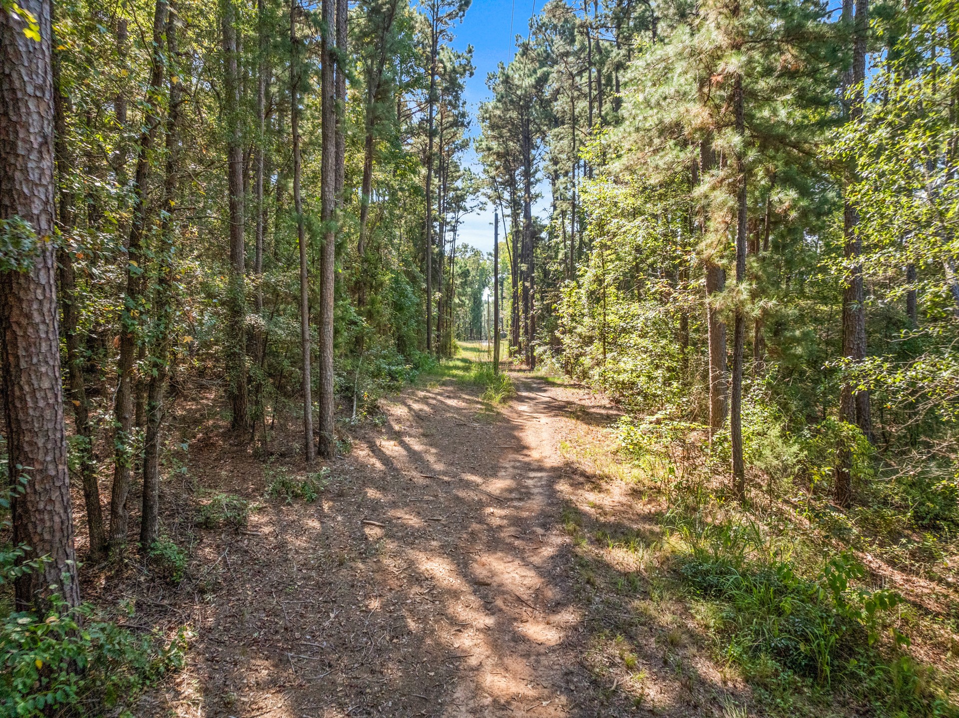 2376 COUNTY ROAD 4119