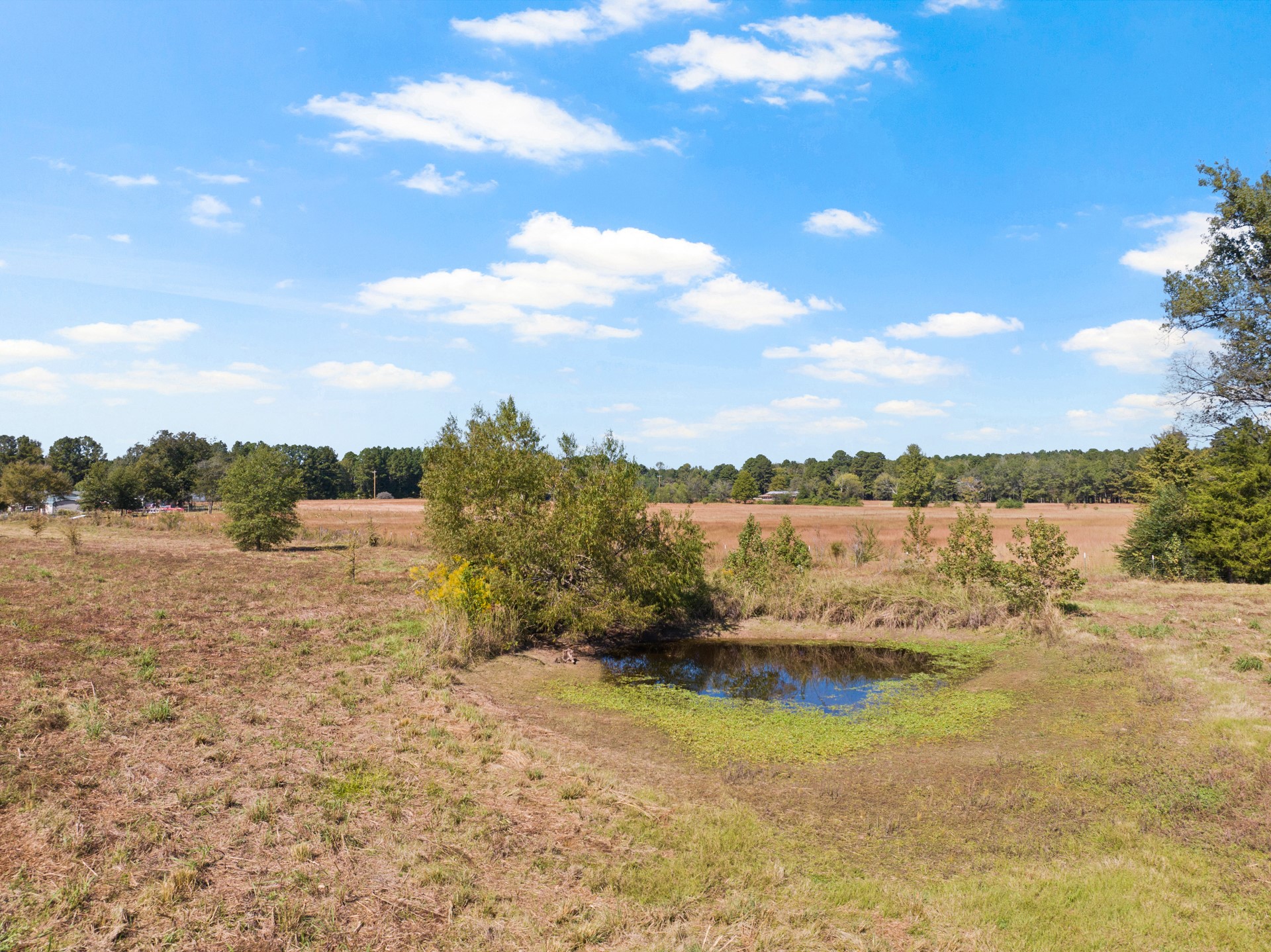 9108 N US Hwy 271