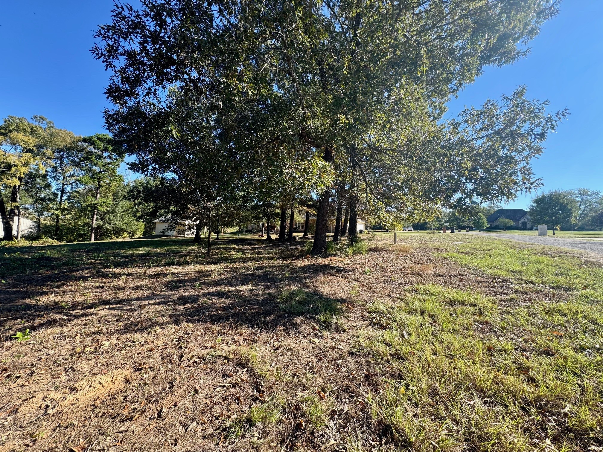 Lot 18 County Road 1216
