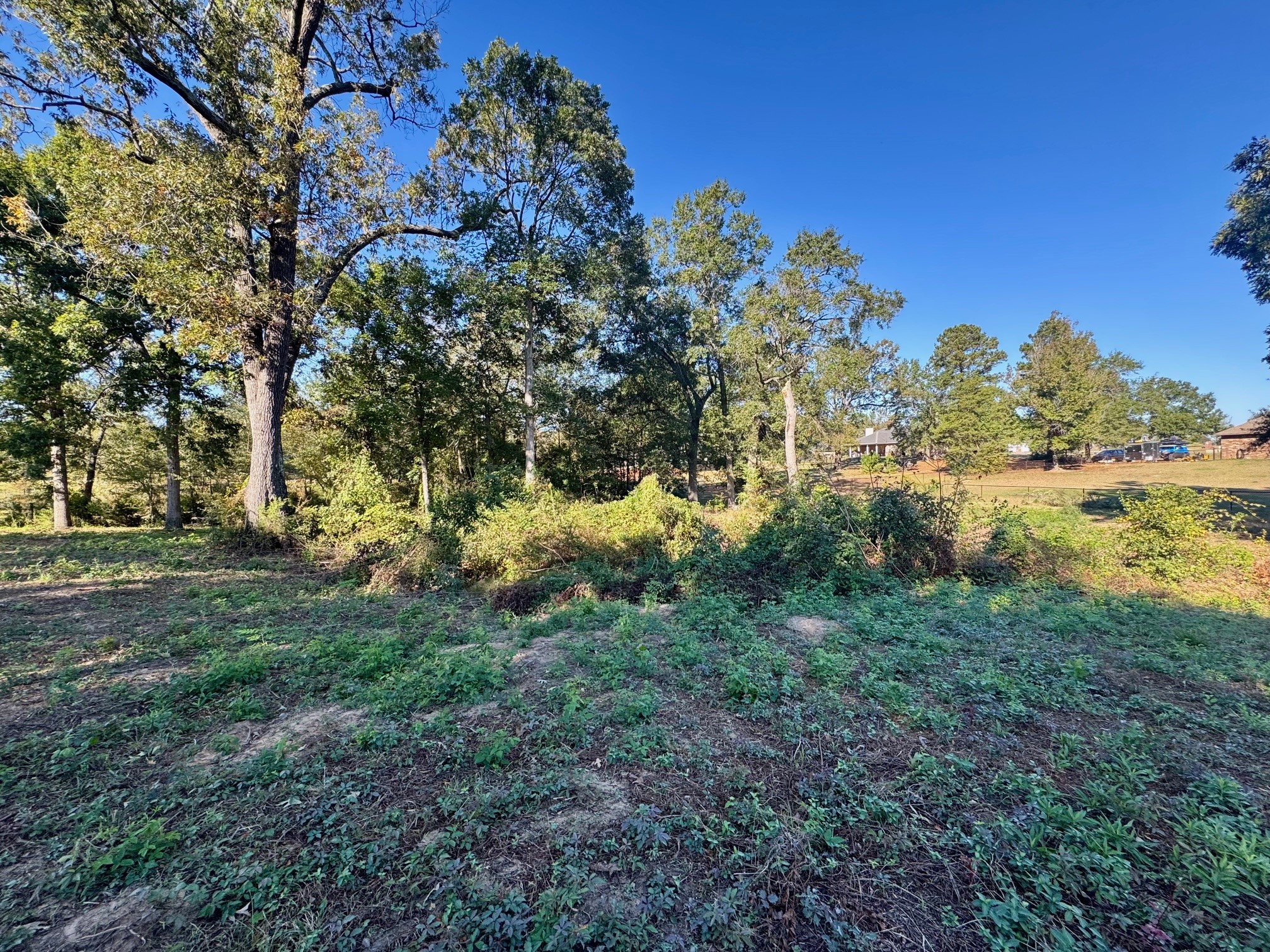 Lot 18 County Road 1216