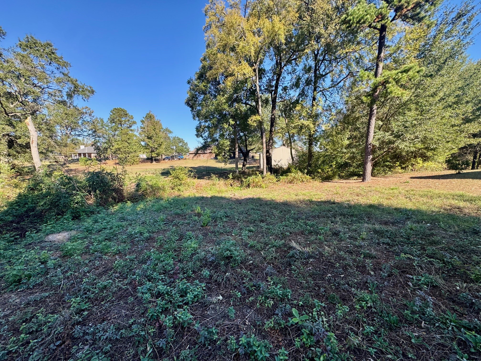 Lot 18 County Road 1216