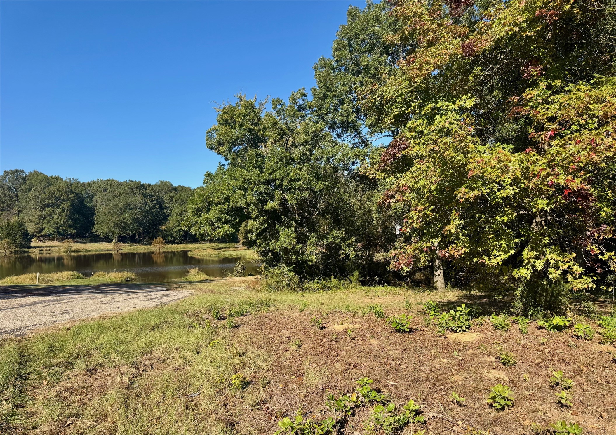 Lot 18 County Road 1216