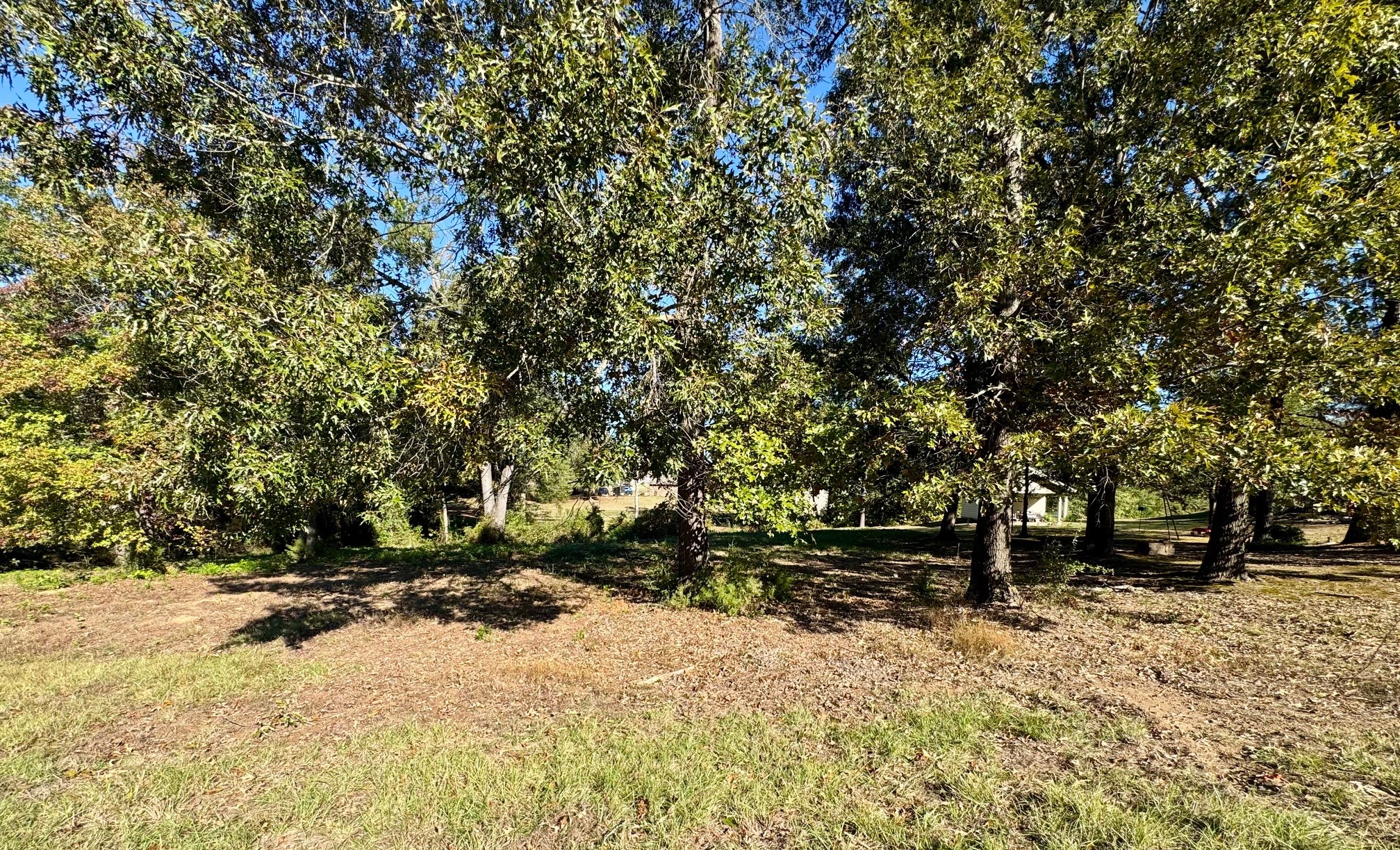 Lot 18 County Road 1216