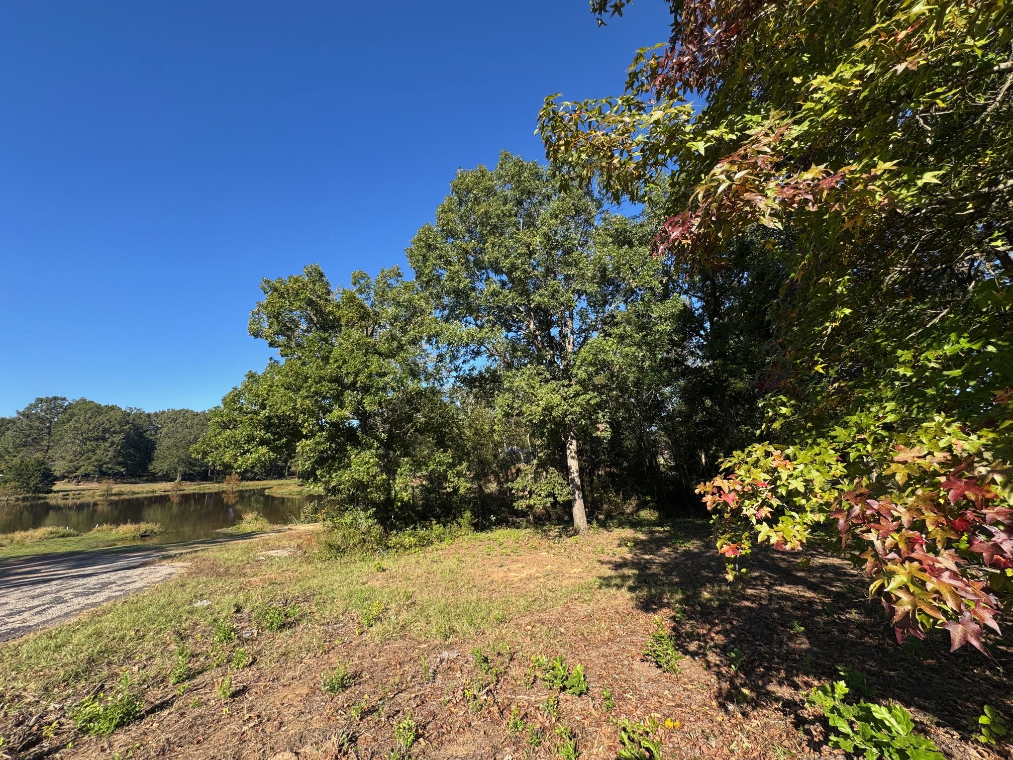 Lot 18 County Road 1216