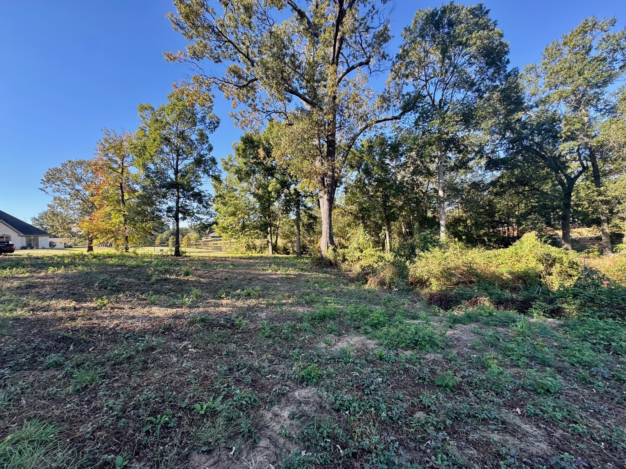 Lot 18 County Road 1216