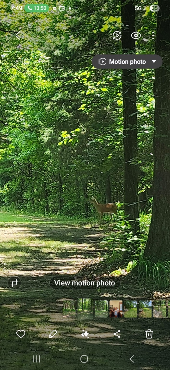 1227 County Road 3327