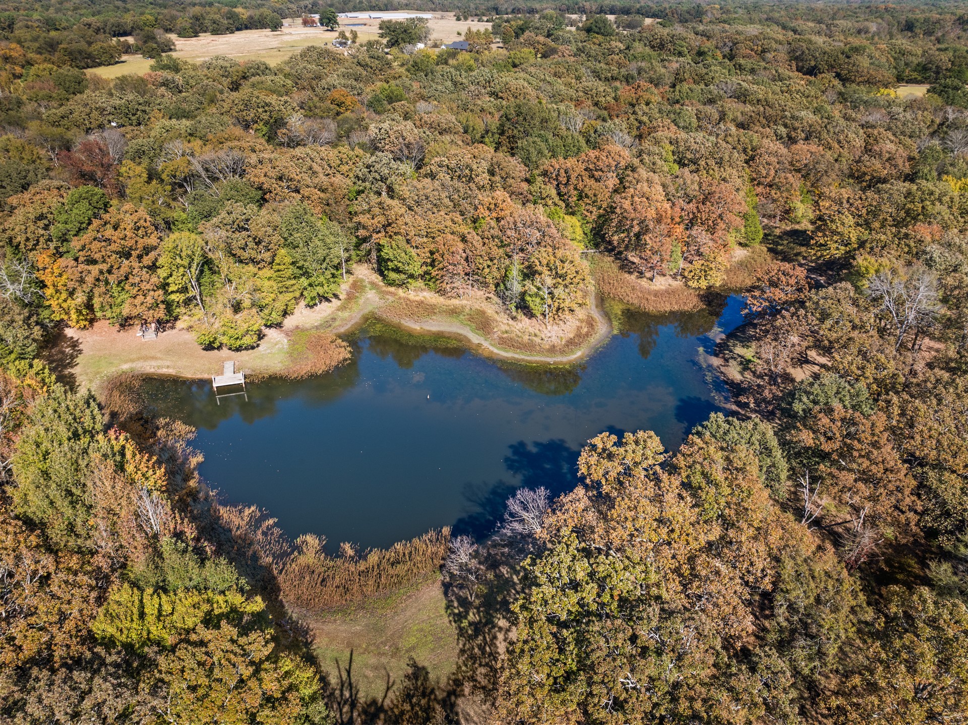 1227 County Road 3327