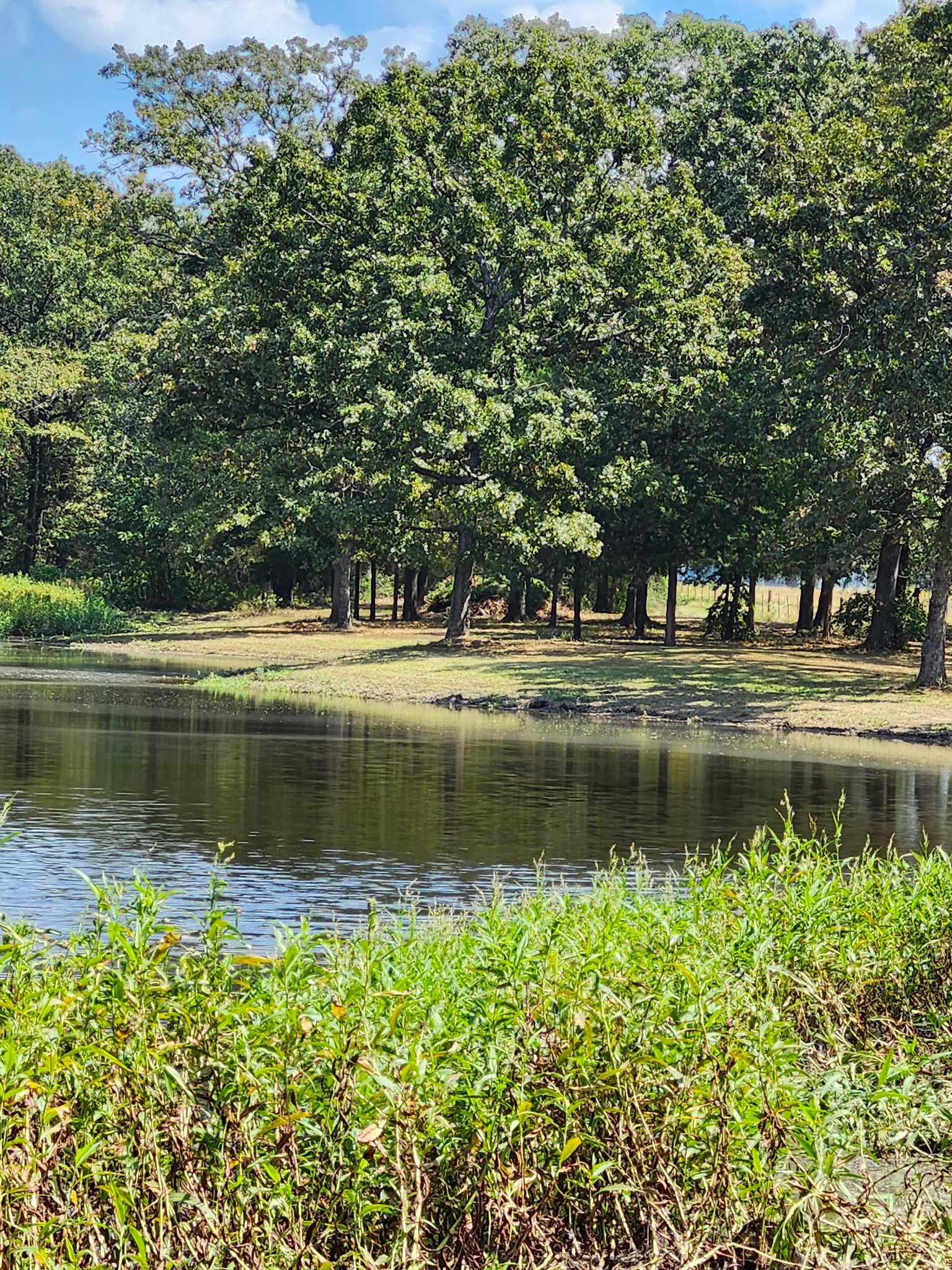 1227 County Road 3327