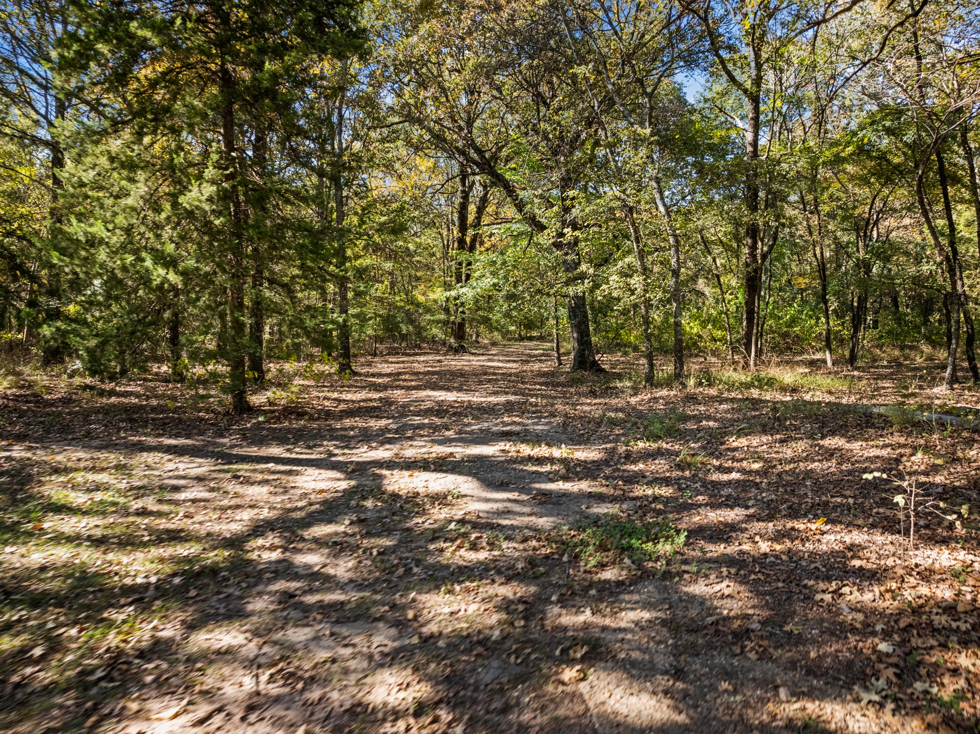 1227 County Road 3327