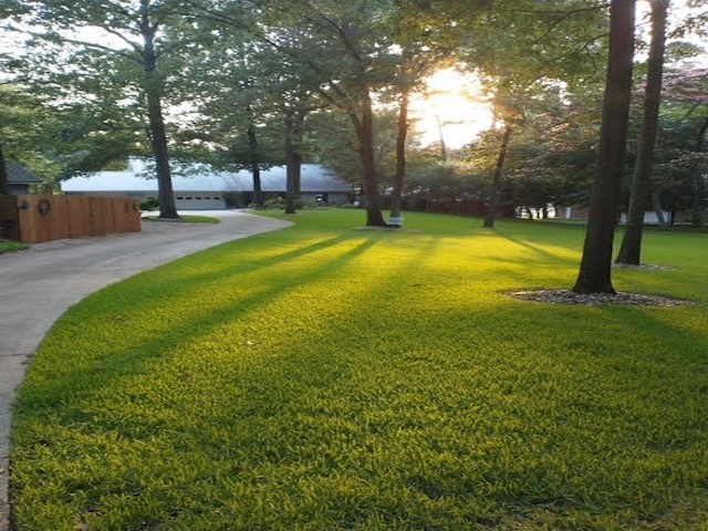 190 County Road 2452