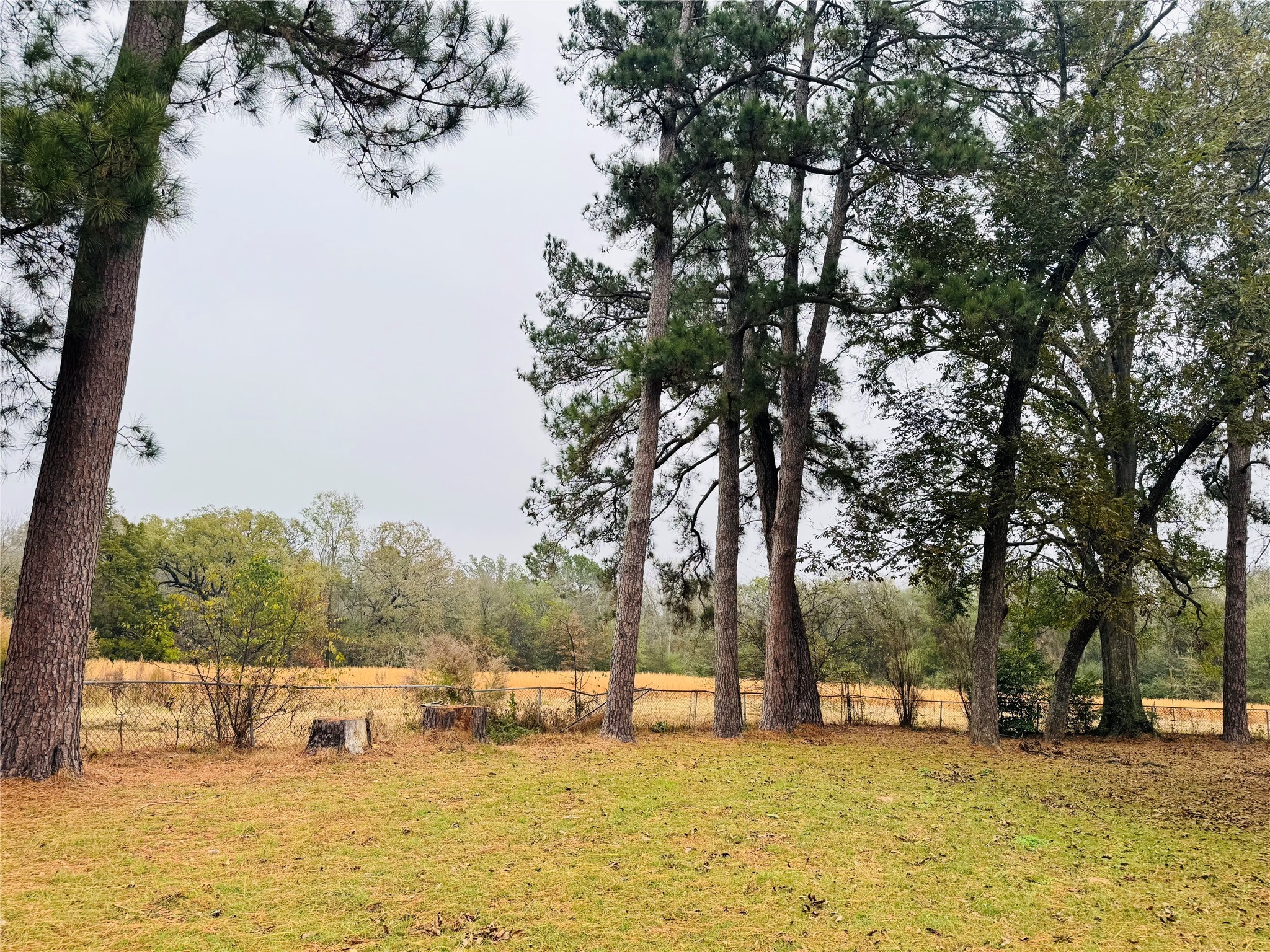 431 County Road 2715