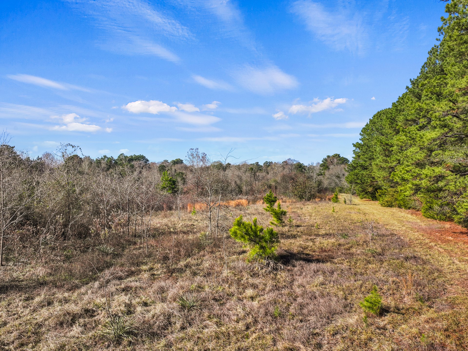 TBD County Road 2865