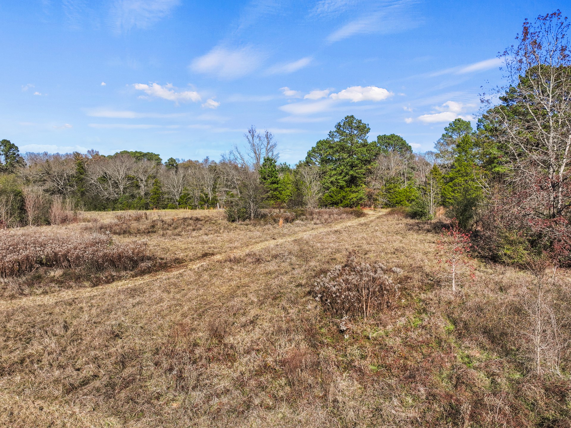 TBD County Road 2865