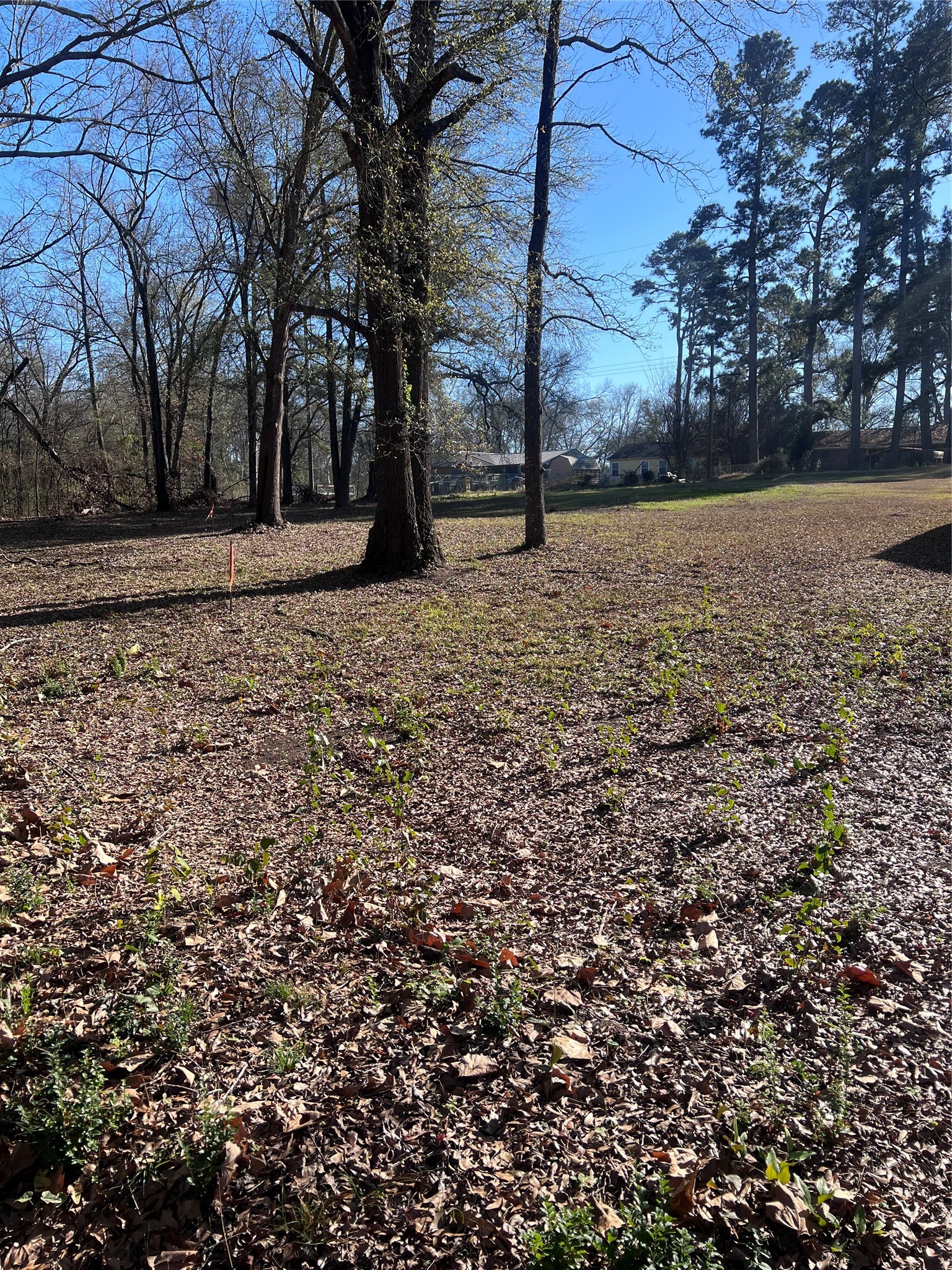 TBD Quail Run