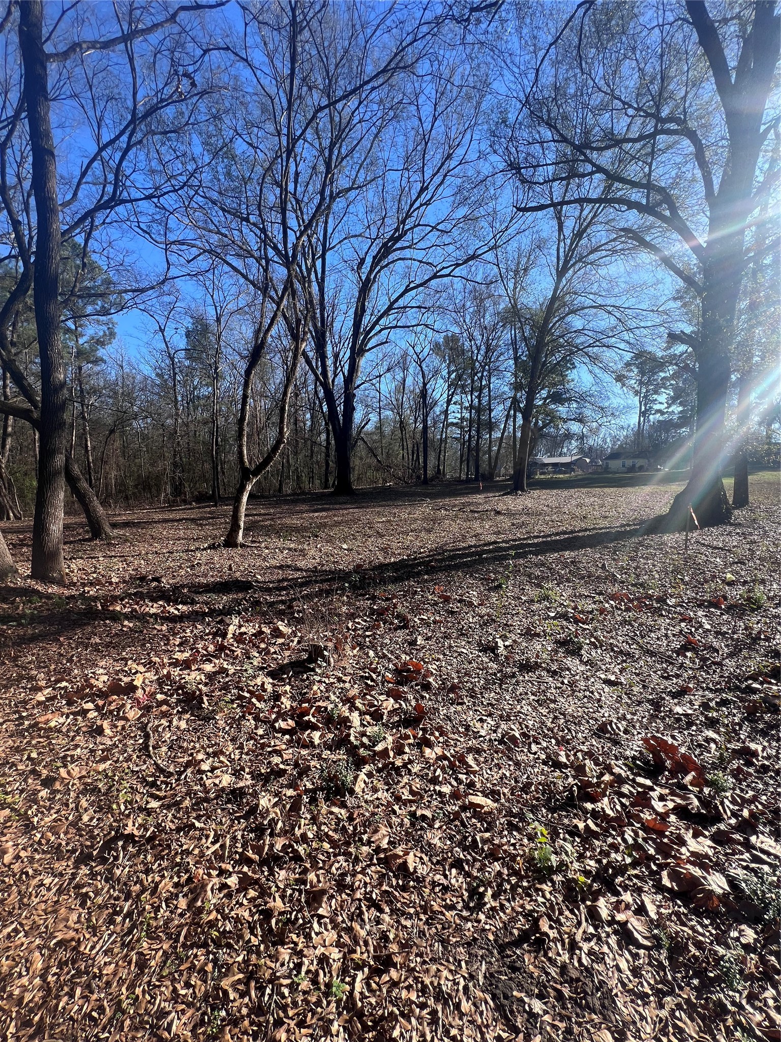 TBD Quail Run