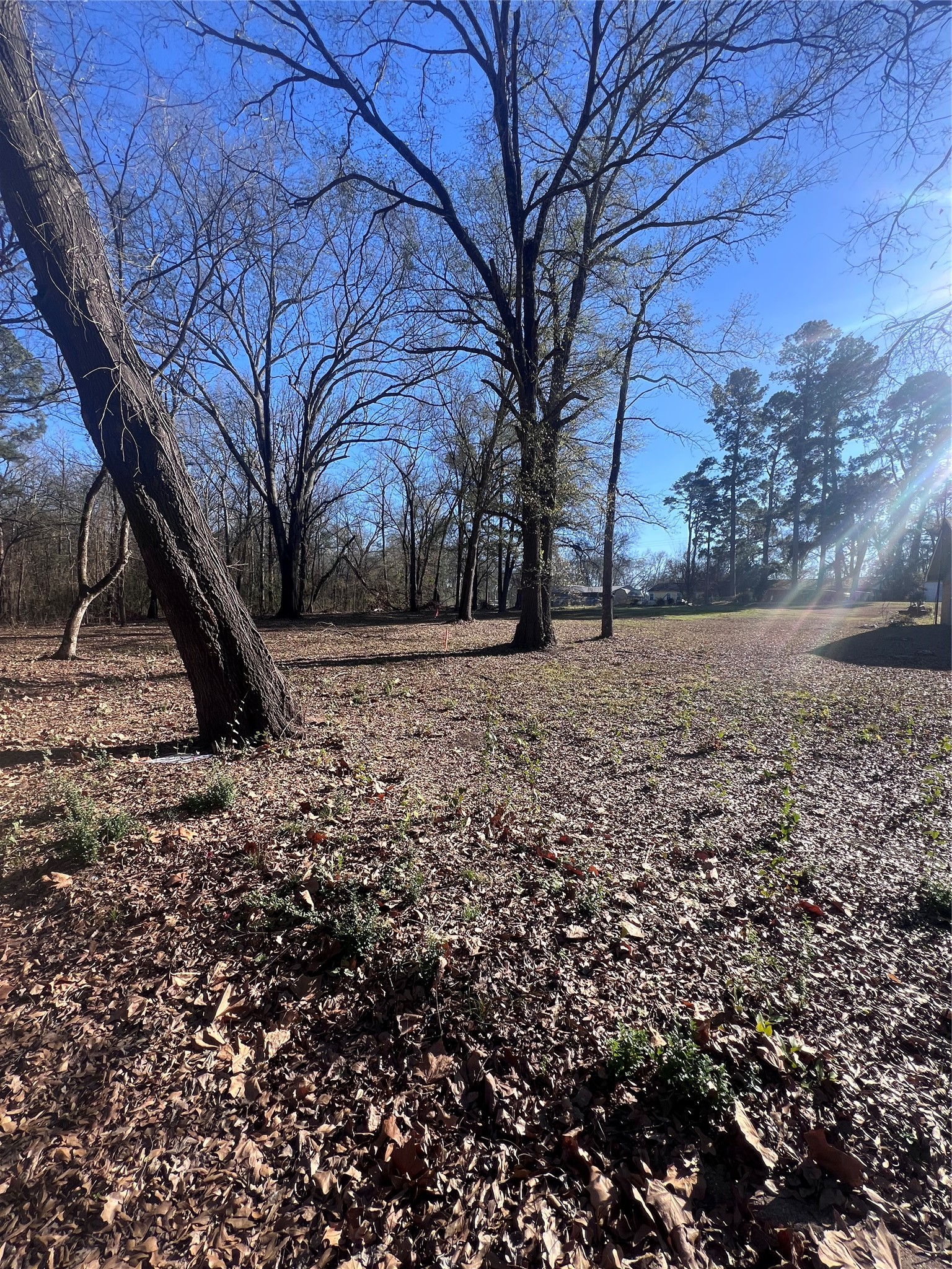 TBD Quail Run