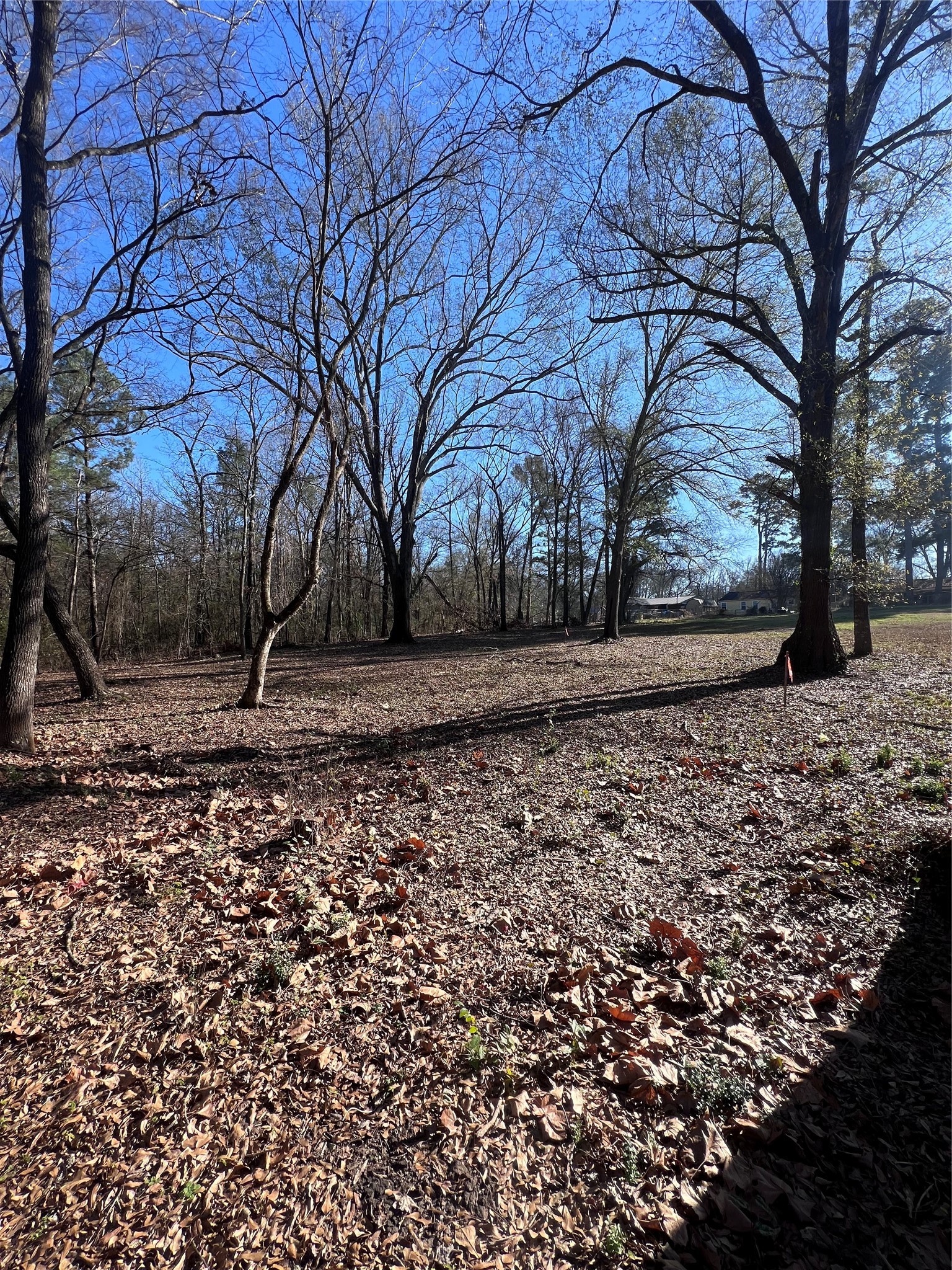 TBD Quail Run