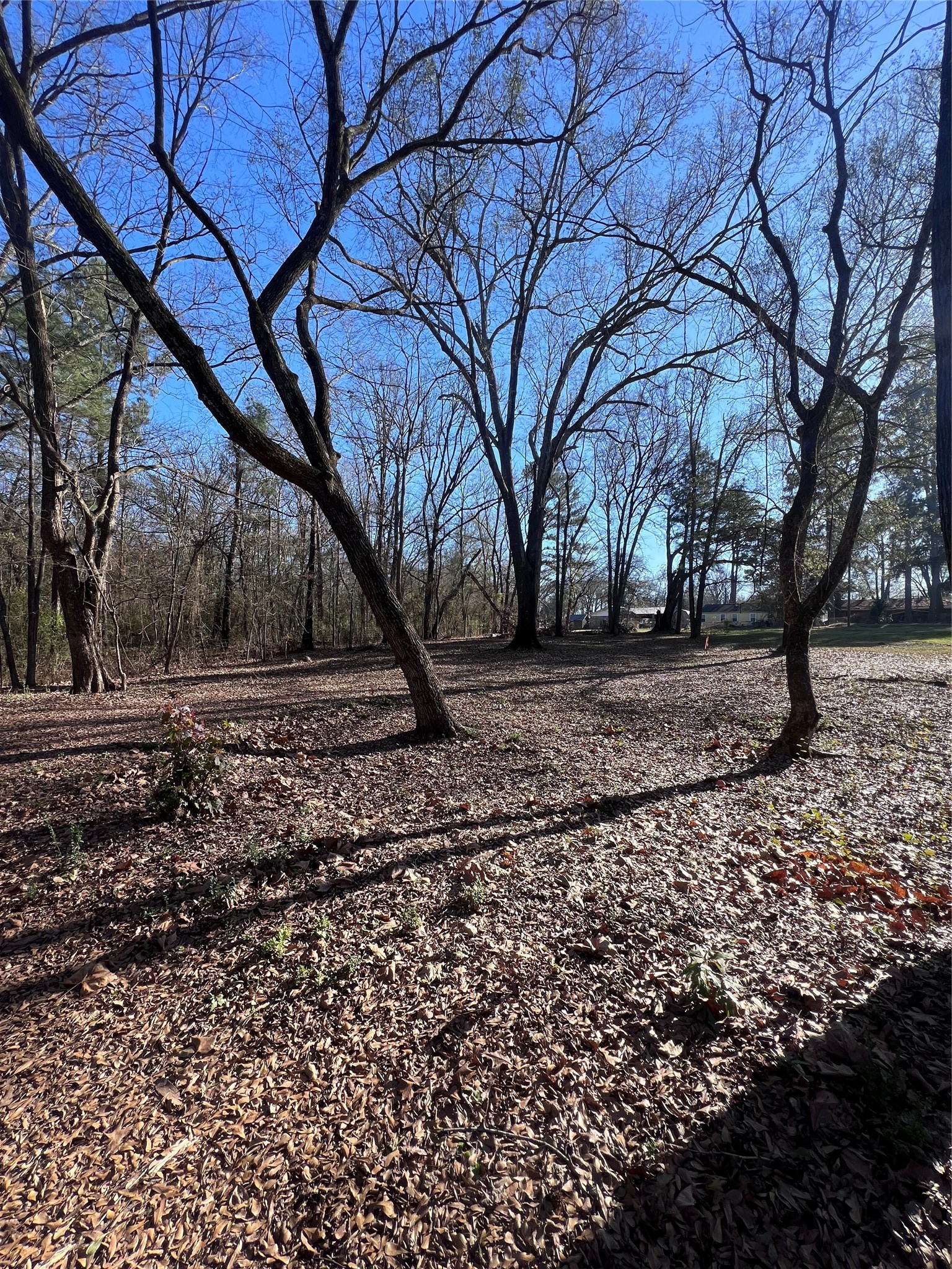 TBD Quail Run