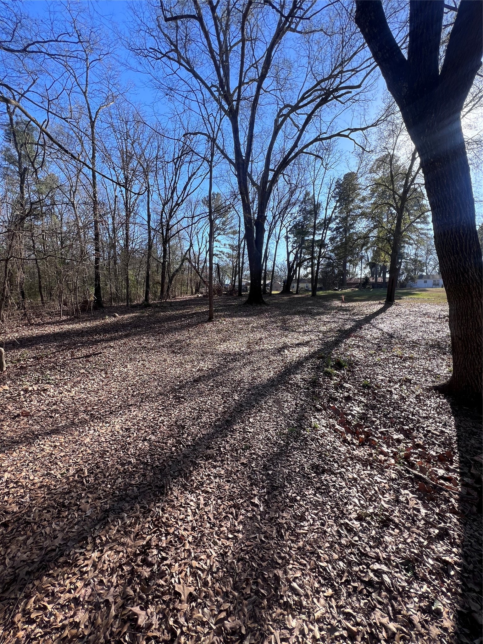 TBD Quail Run