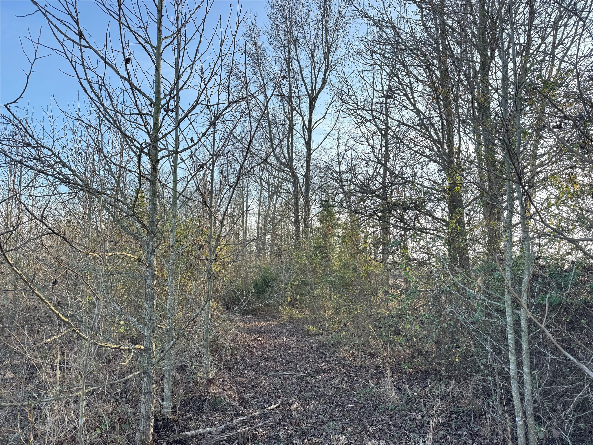 TBD County Road 4740