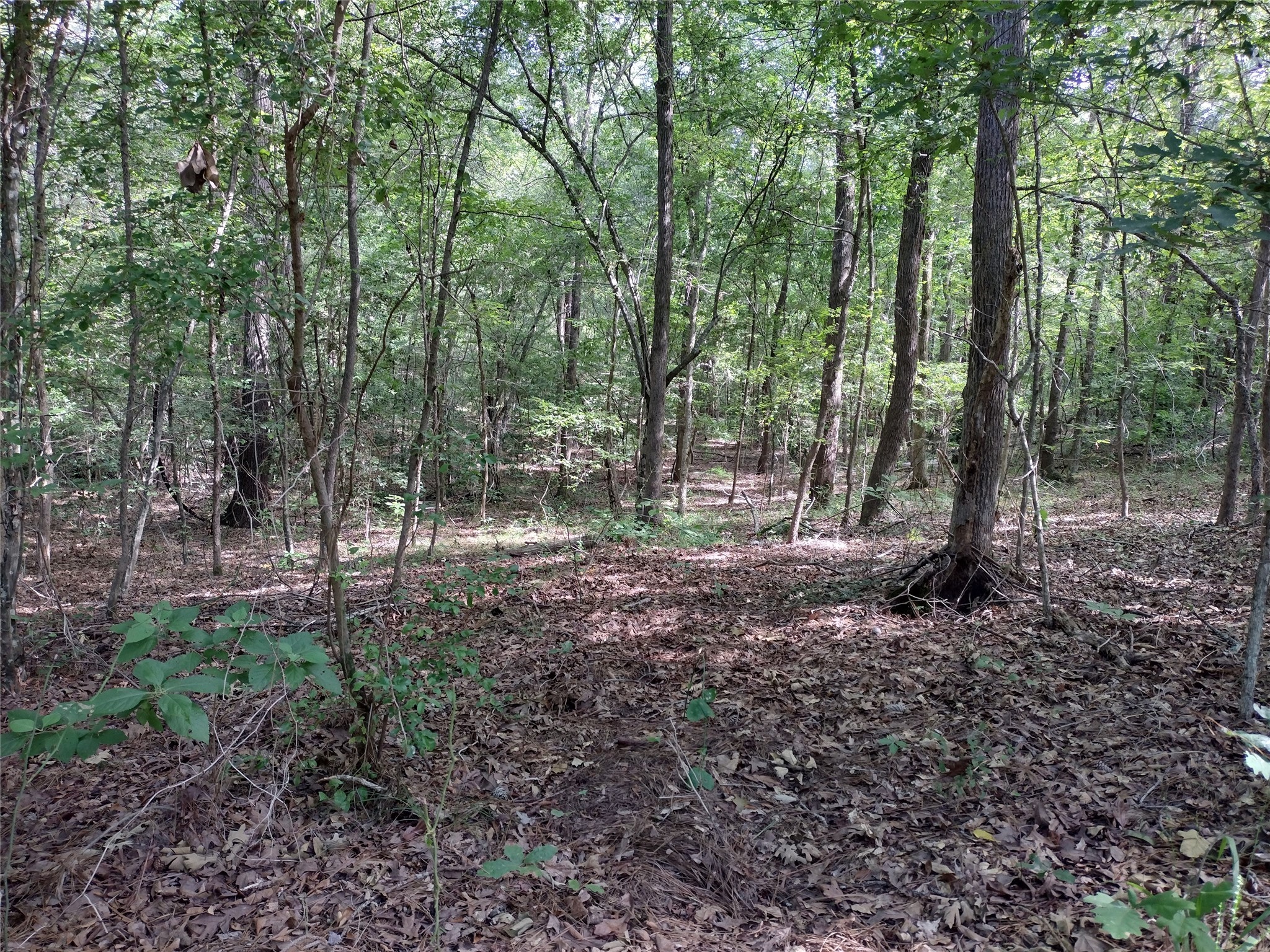 TBD Willow Point Marina Road