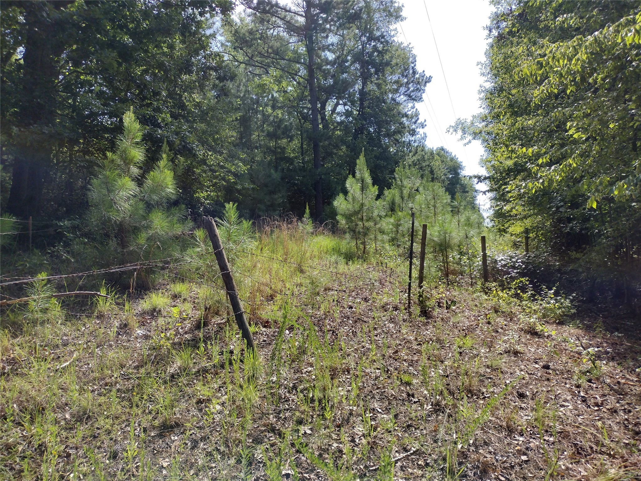 TBD Willow Point Marina Road