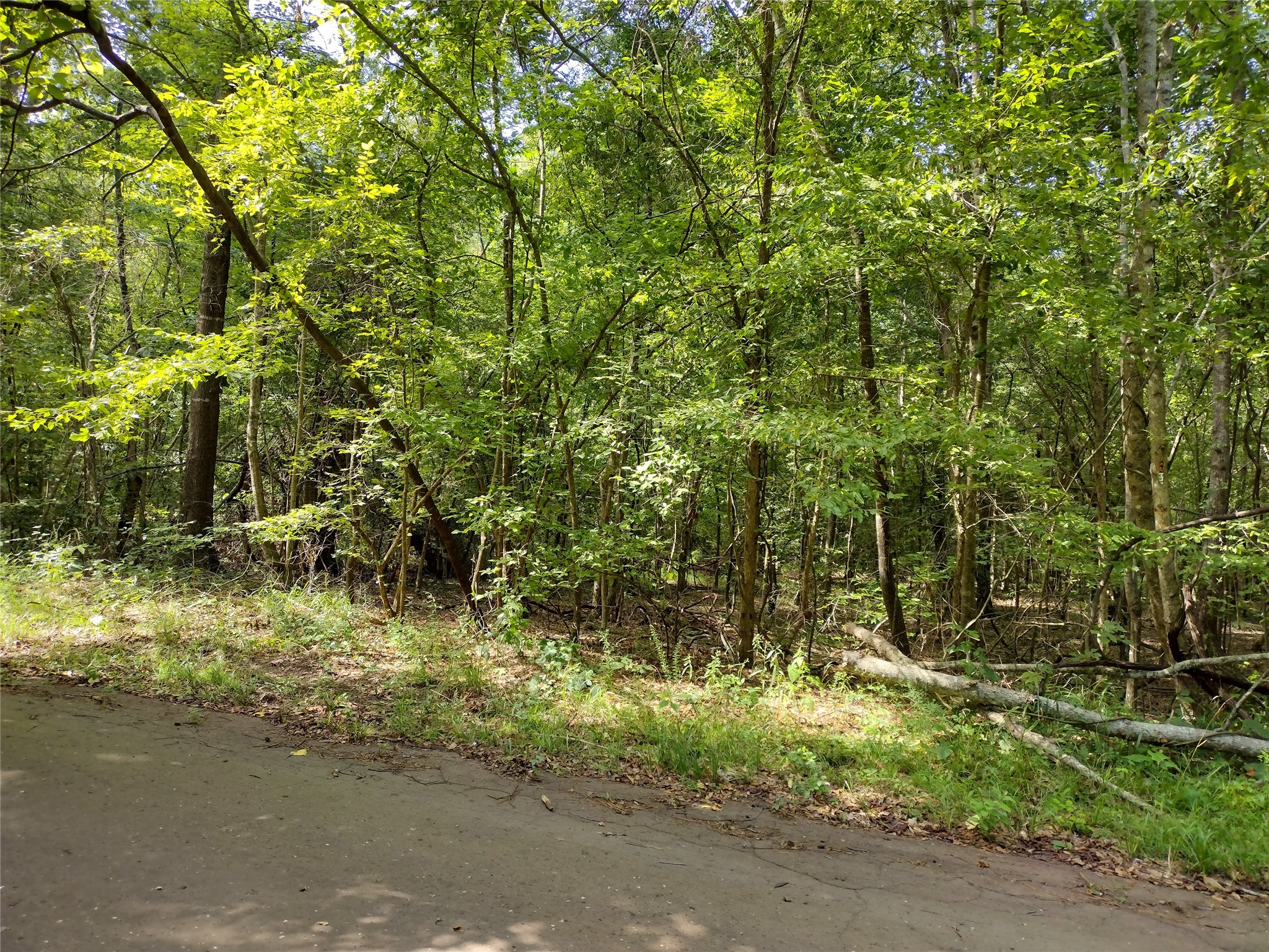 TBD Willow Point Marina Road