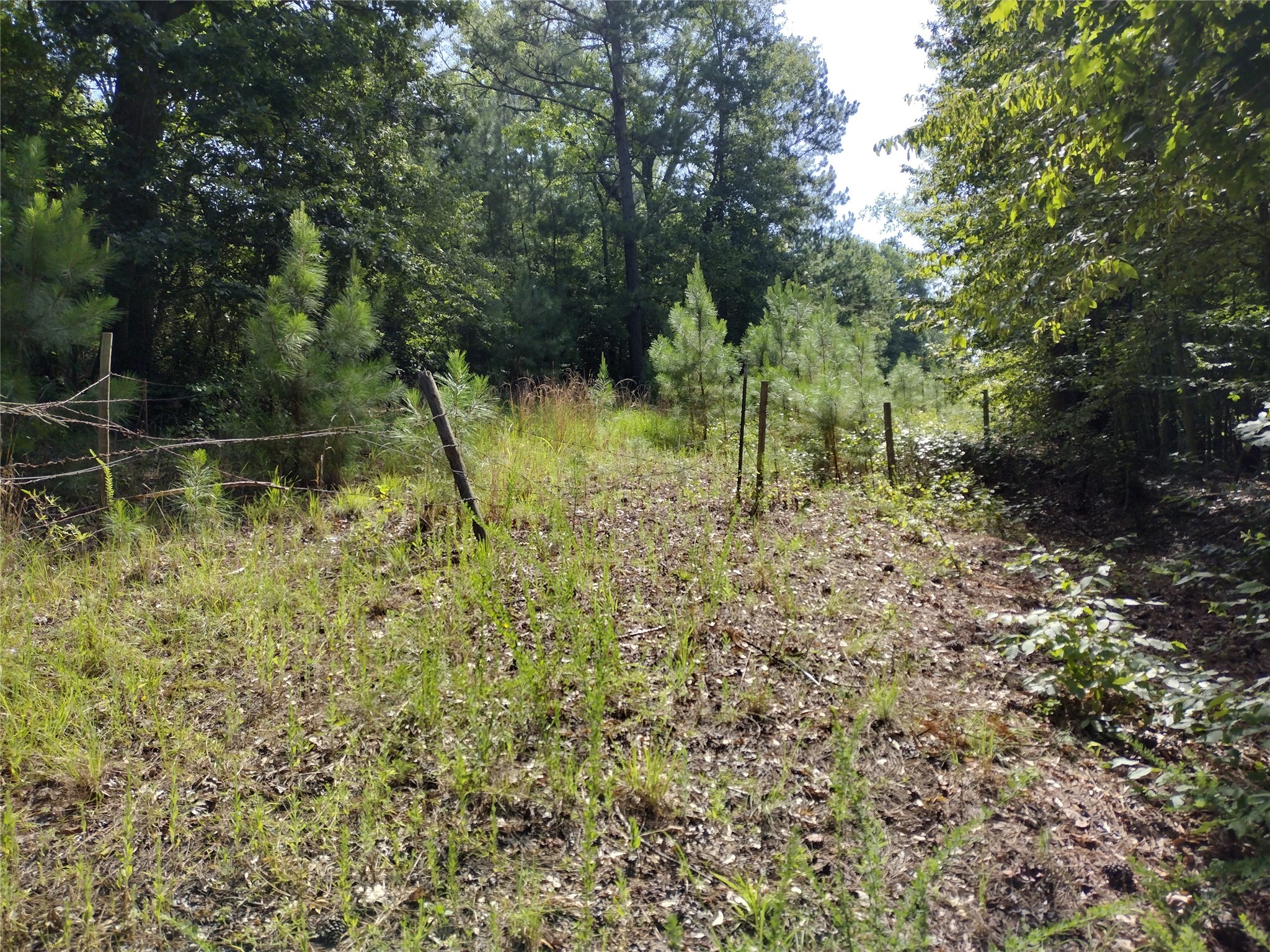 TBD Willow Point Marina Road