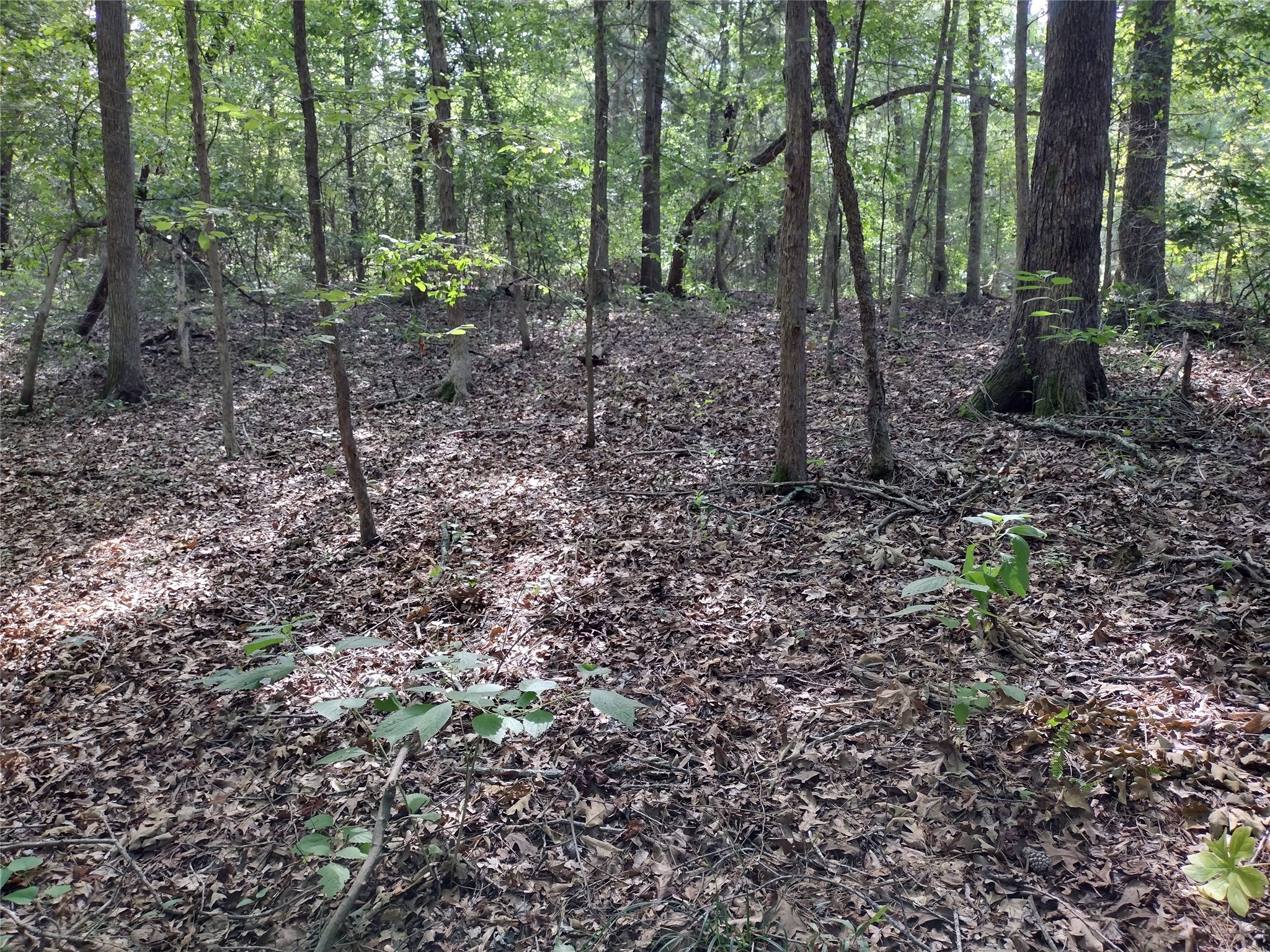 TBD Willow Point Marina Road