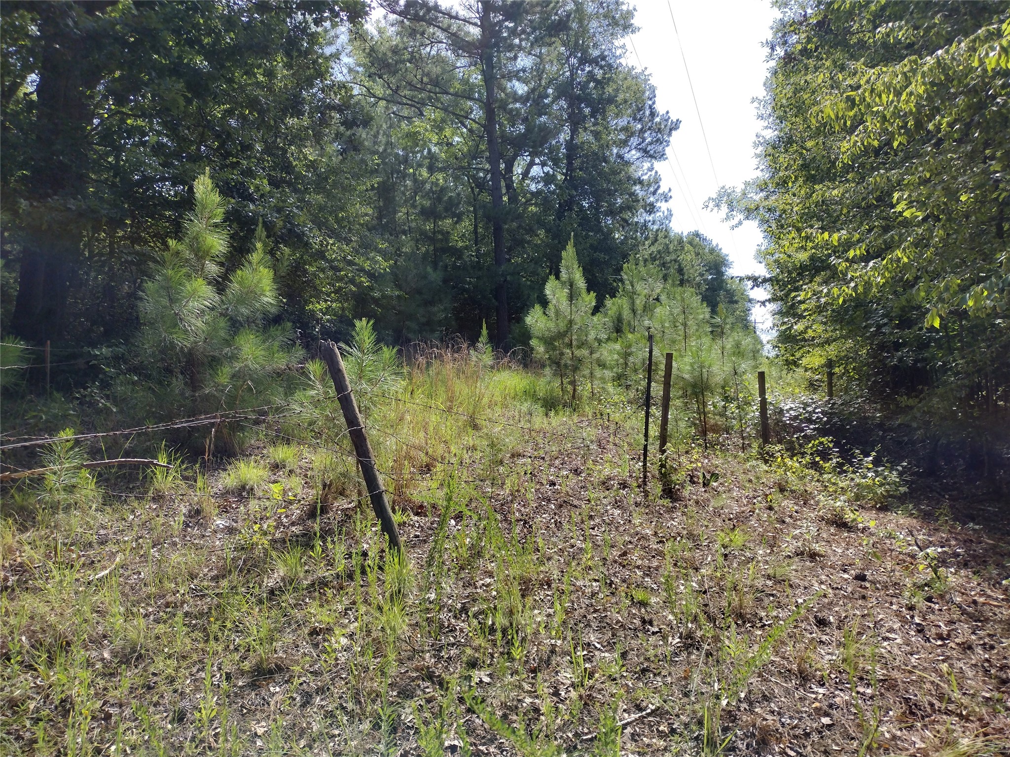 TBD Willow Point Marina Road