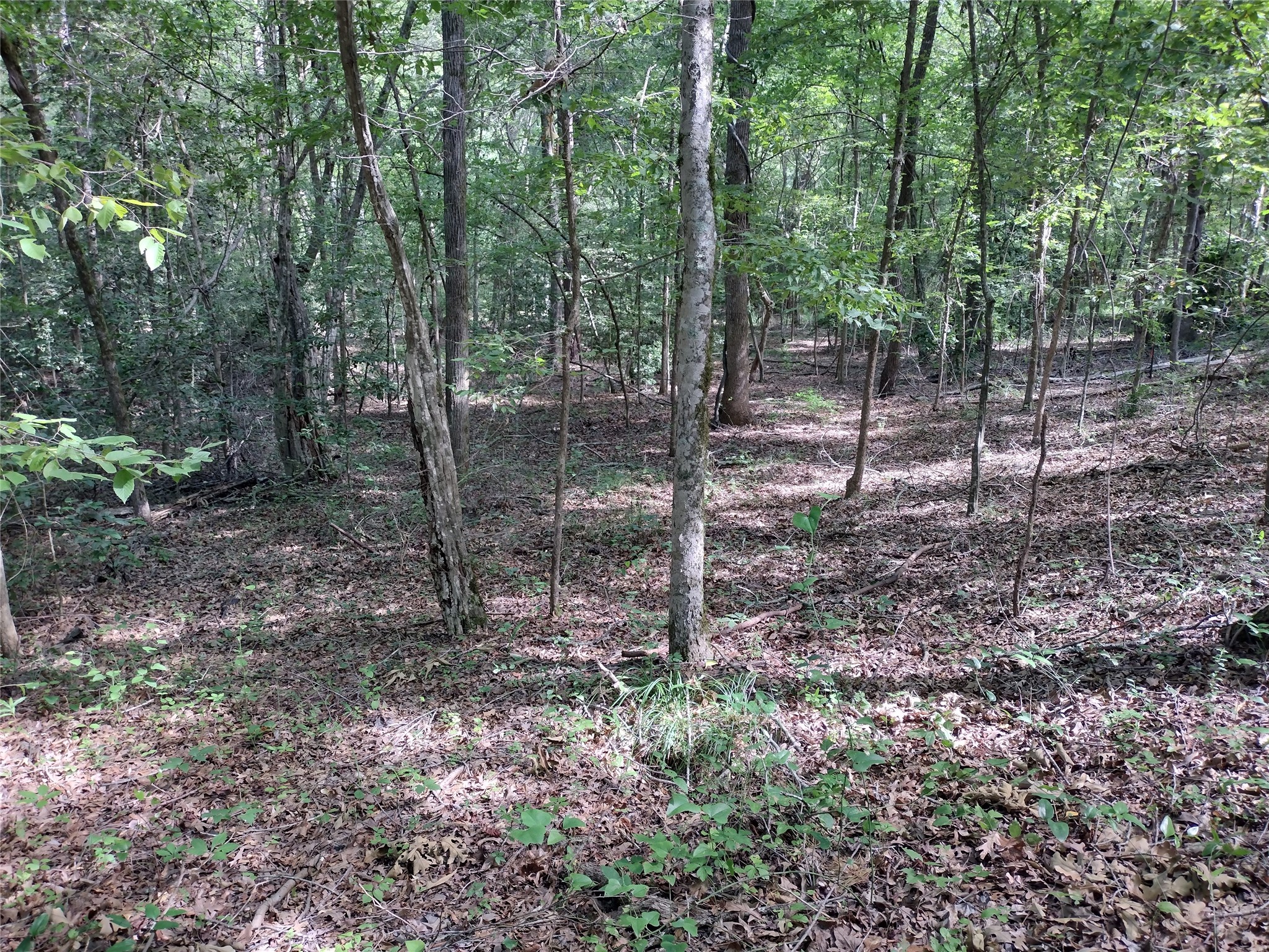 TBD Willow Point Marina Road