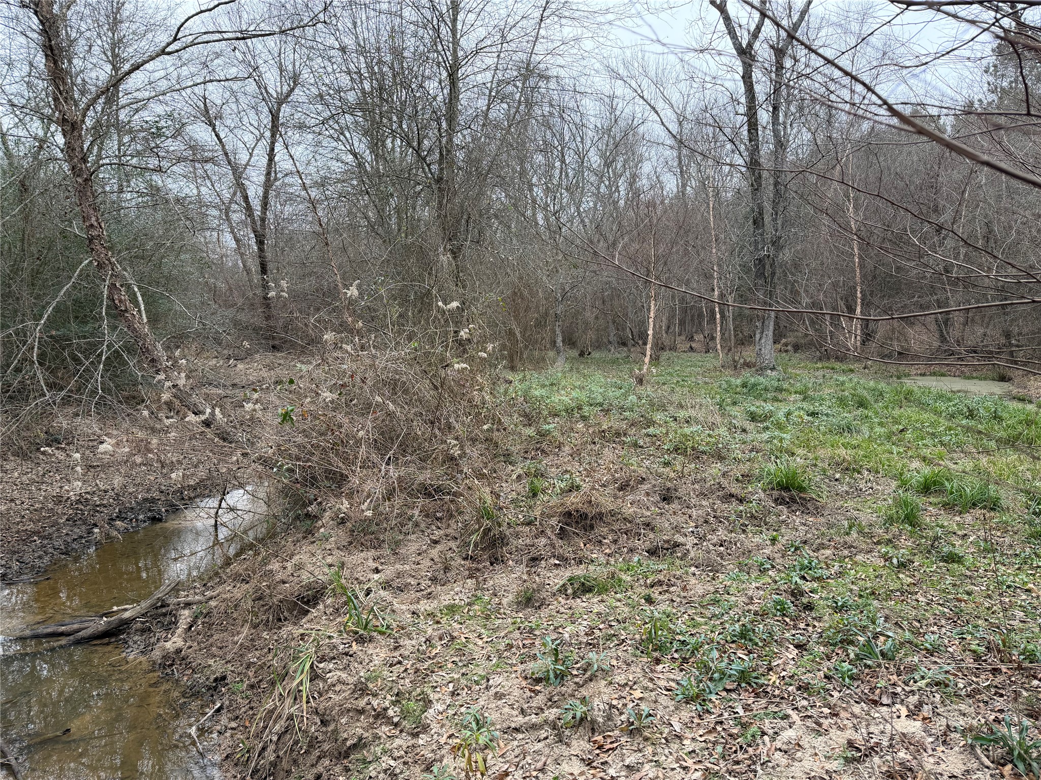 11501 Waterbuck Road