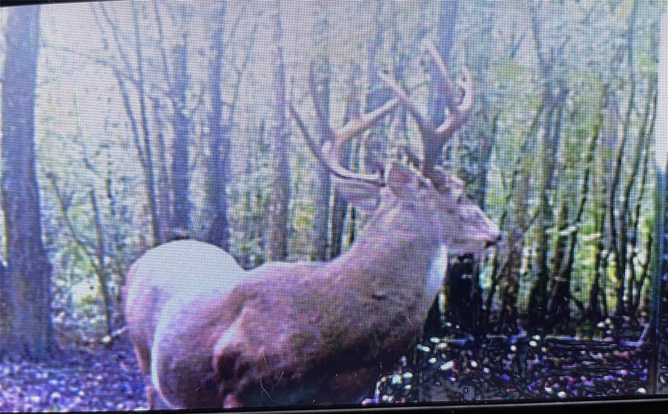 11501 Waterbuck Road