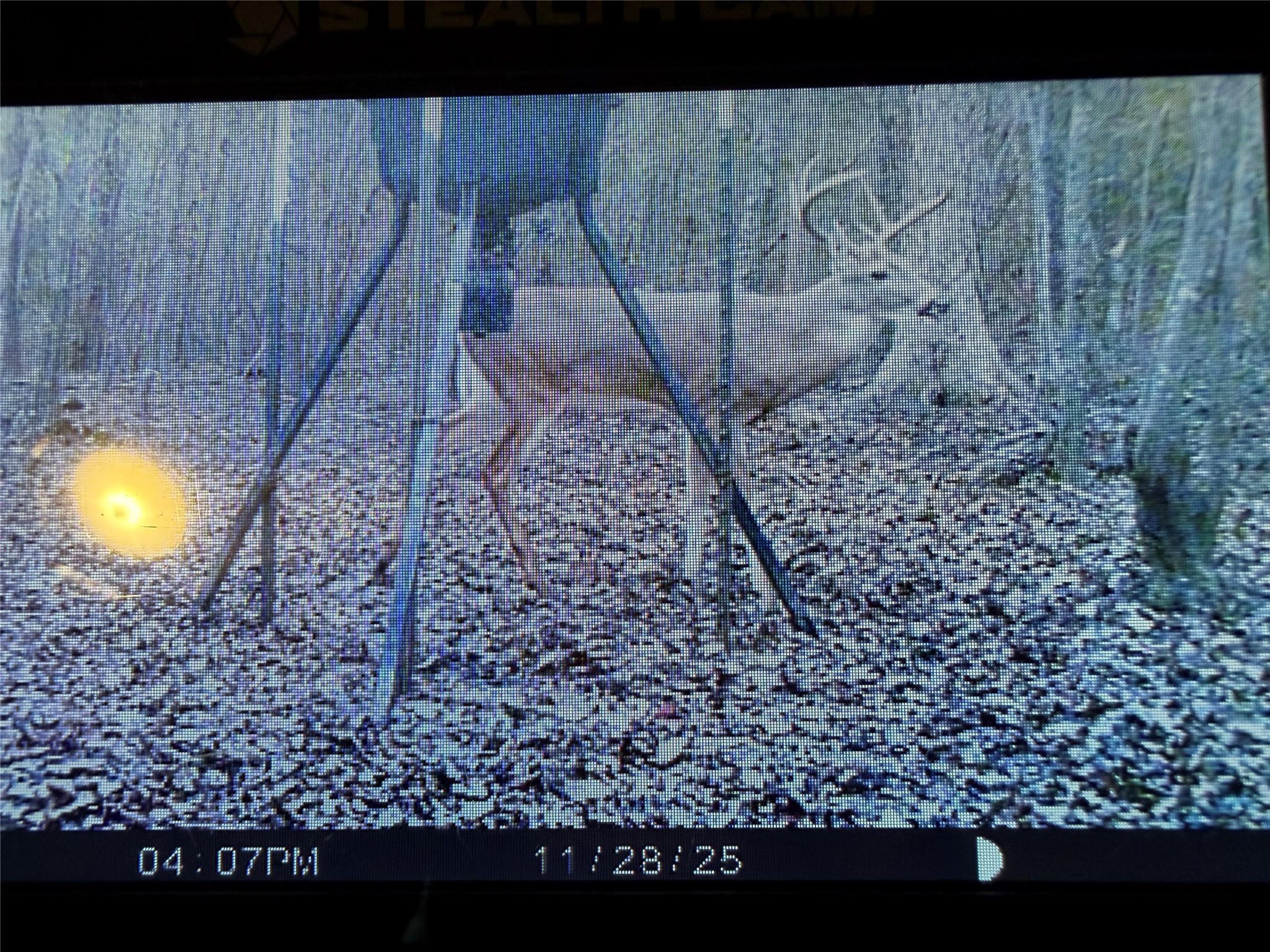 11501 Waterbuck Road