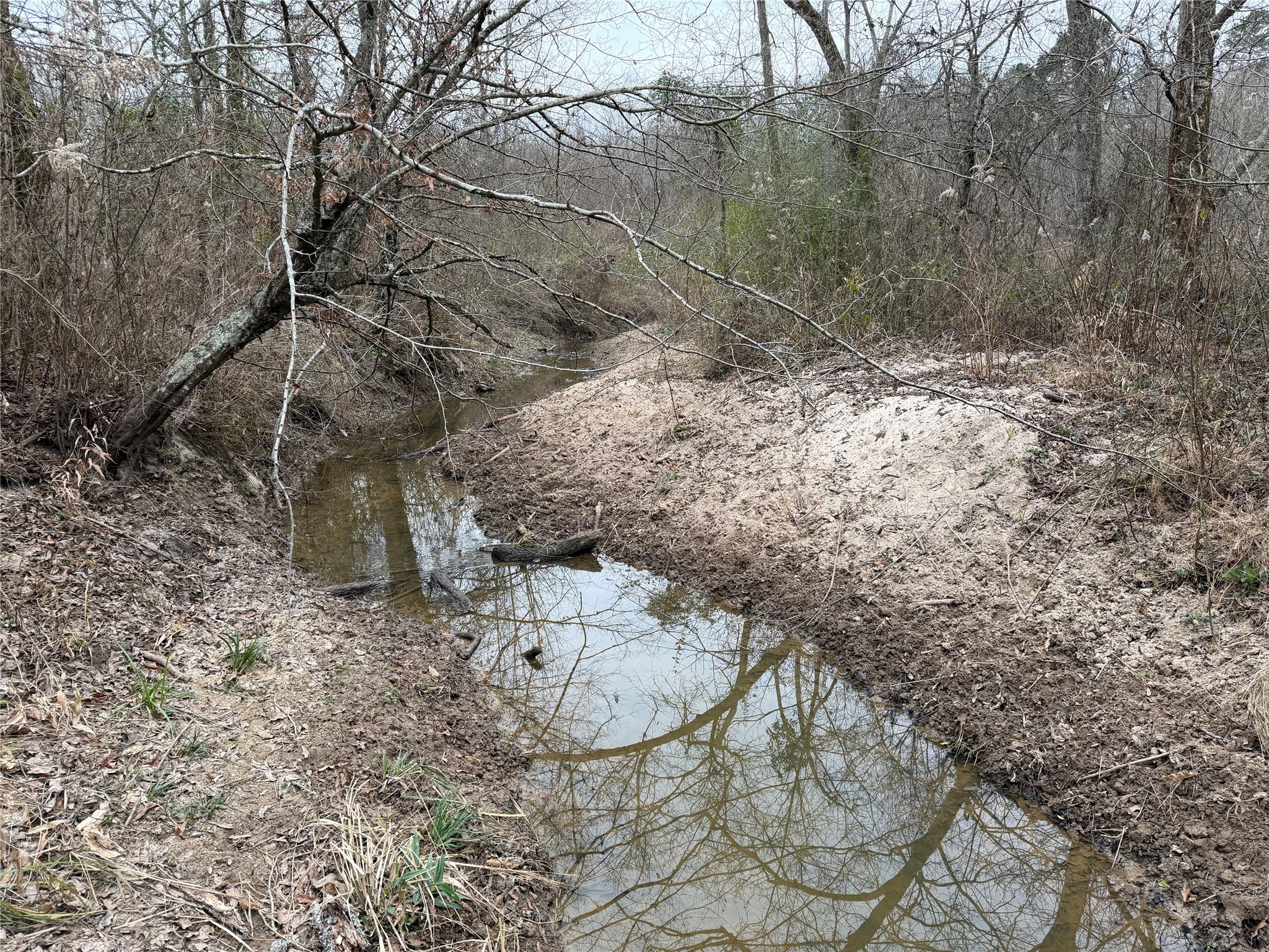 11501 Waterbuck Road