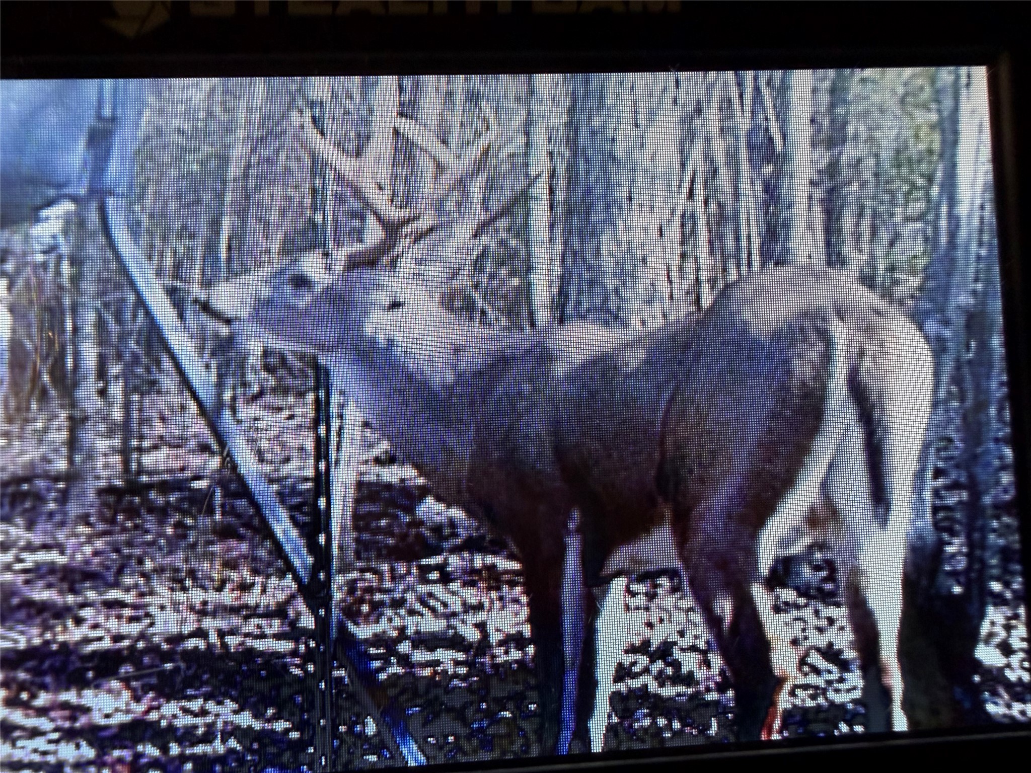 11501 Waterbuck Road