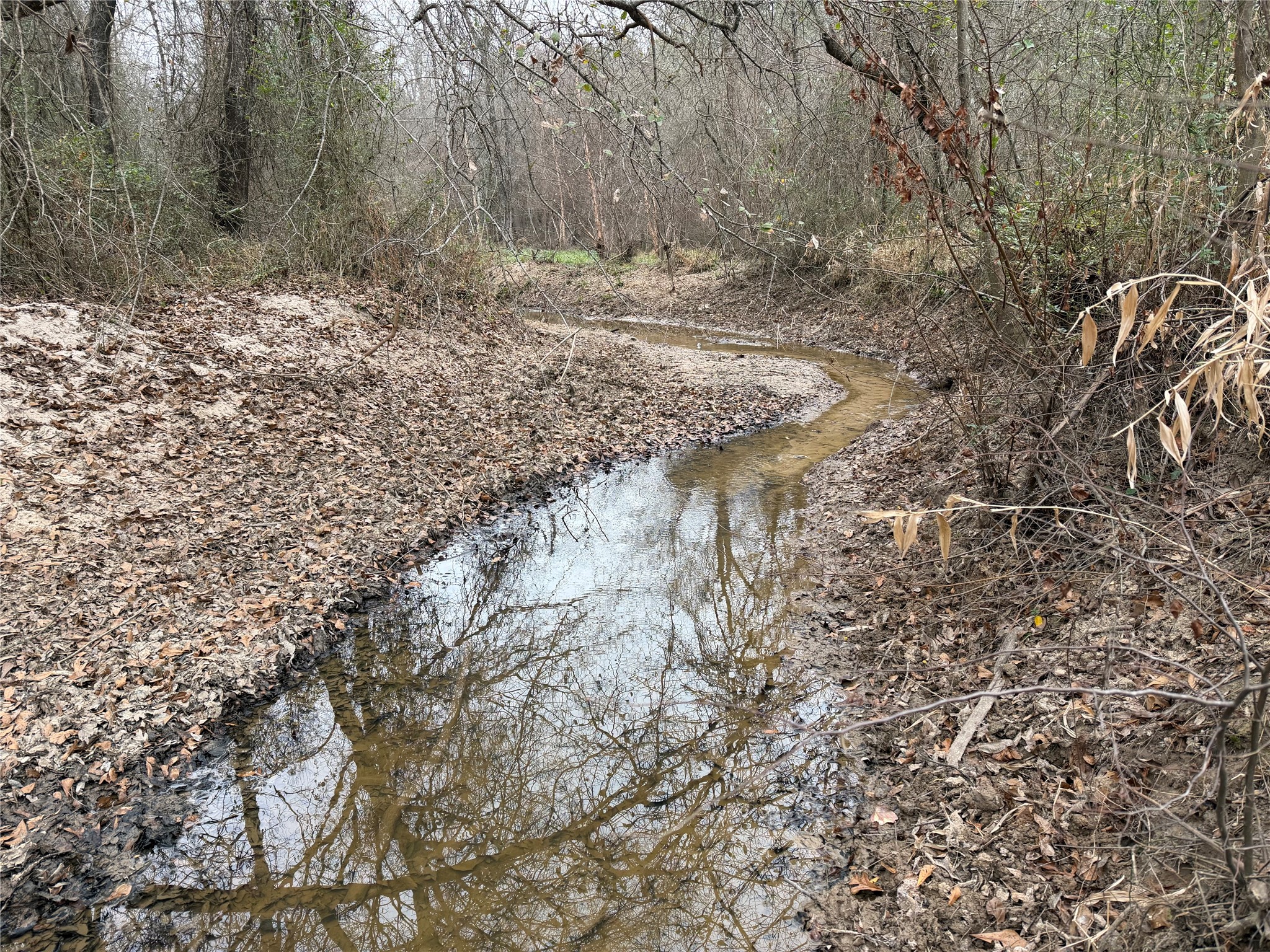 11501 Waterbuck Road