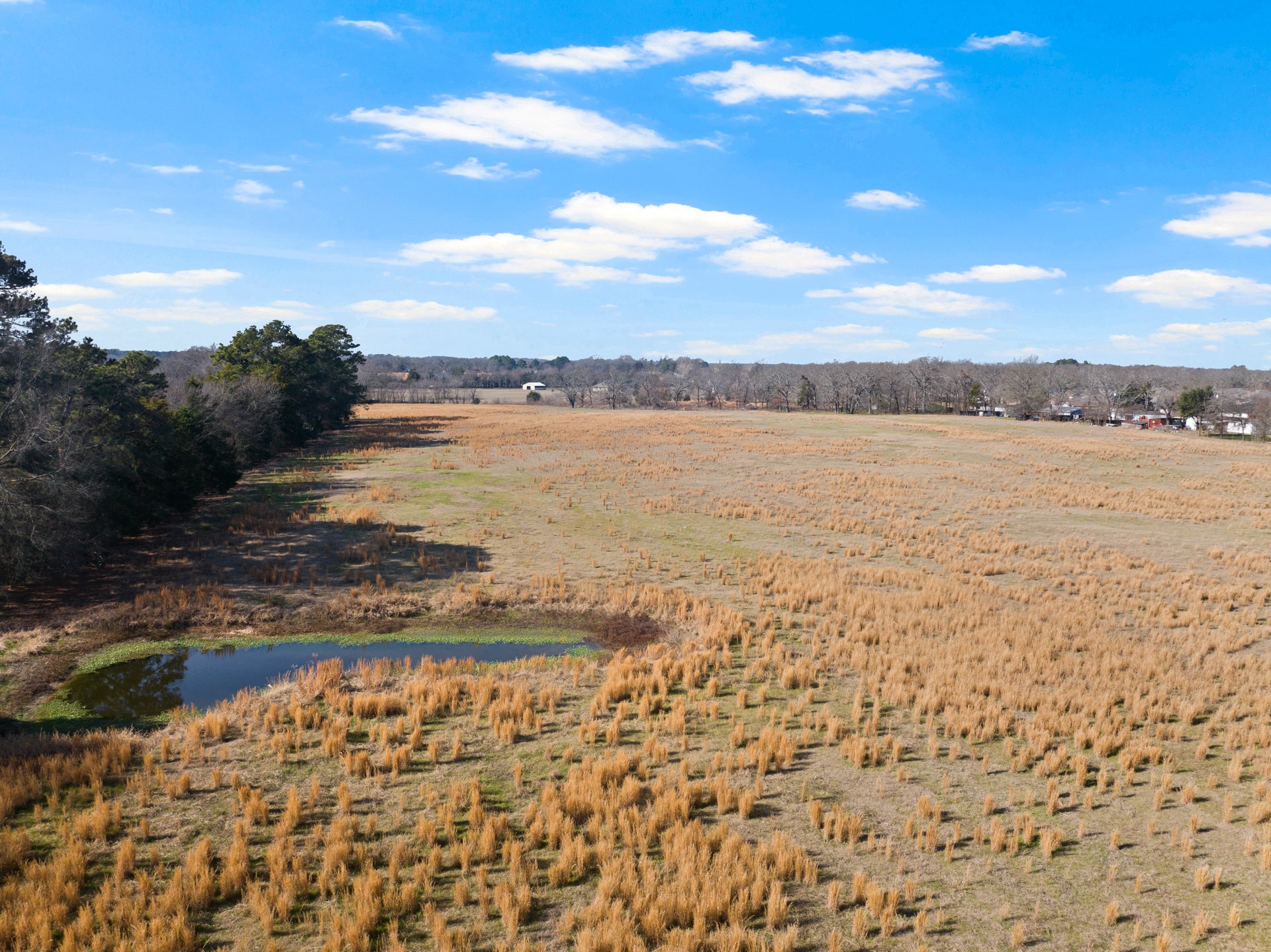 TBD FM 1402 and Nevills Rd